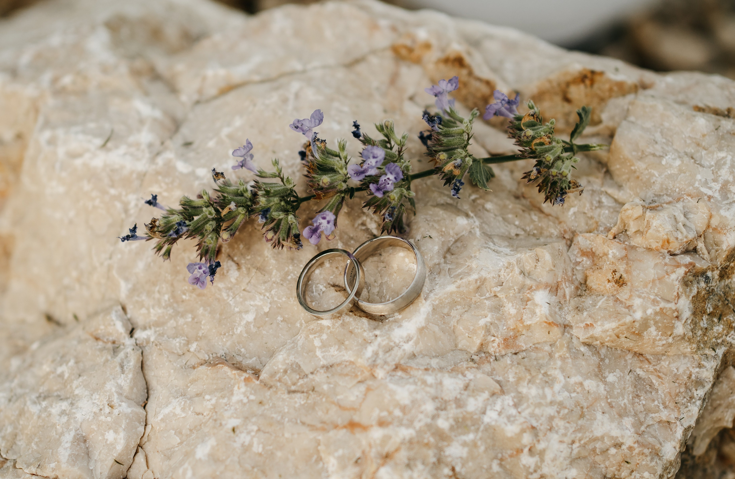 R & R. Fotograf Nunta Iasi - Hearts & Pictures