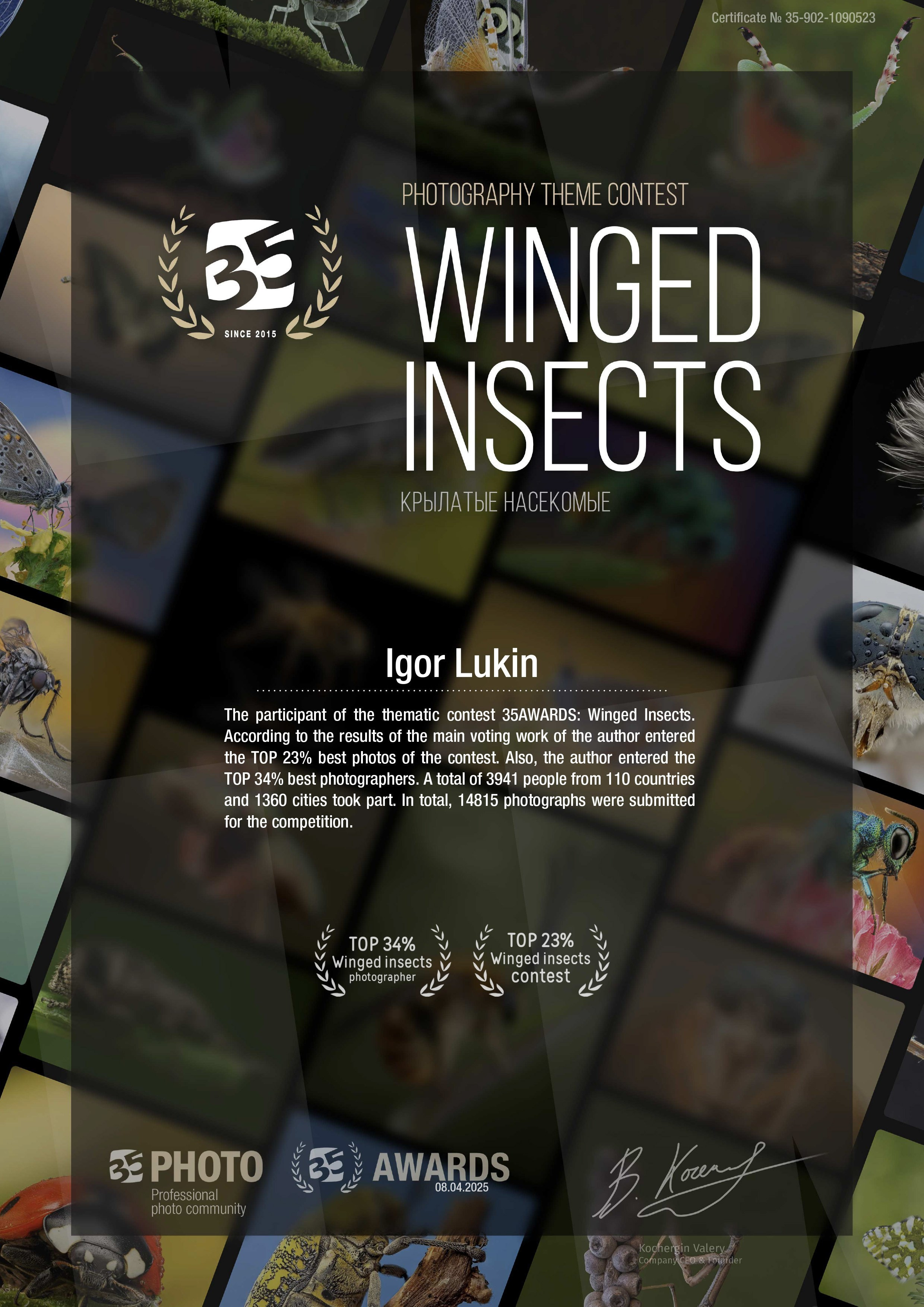 КРЫЛАТЫЕ НАСЕКОМЫЕ. LUKIN IGOR Photography
