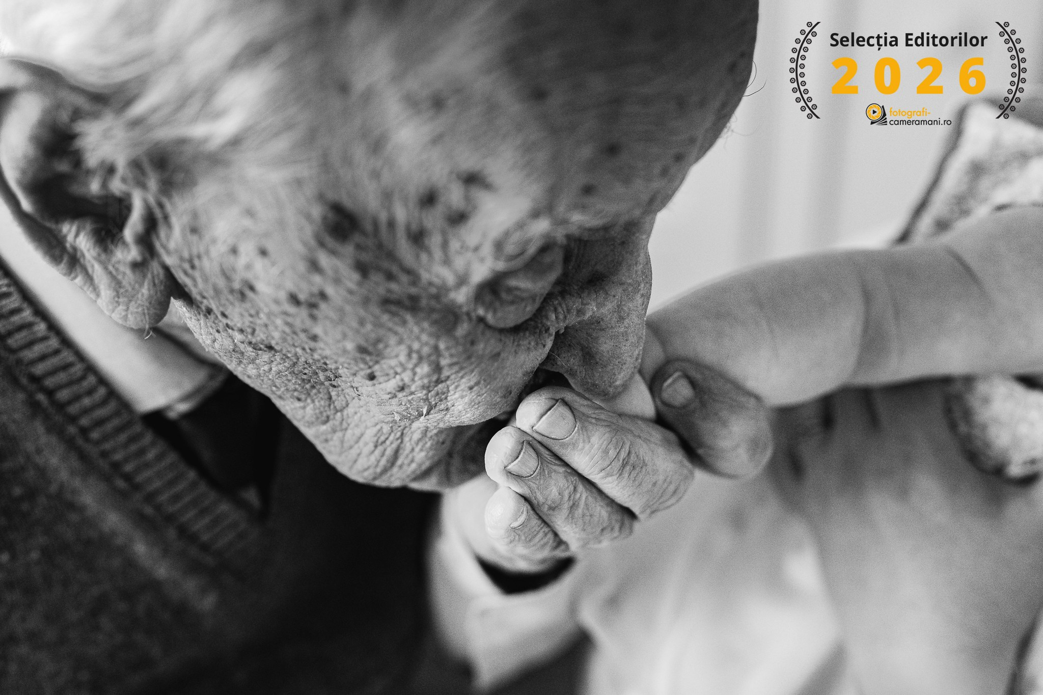 Premii și recunoașteri – Adrian Vasile Fotograf