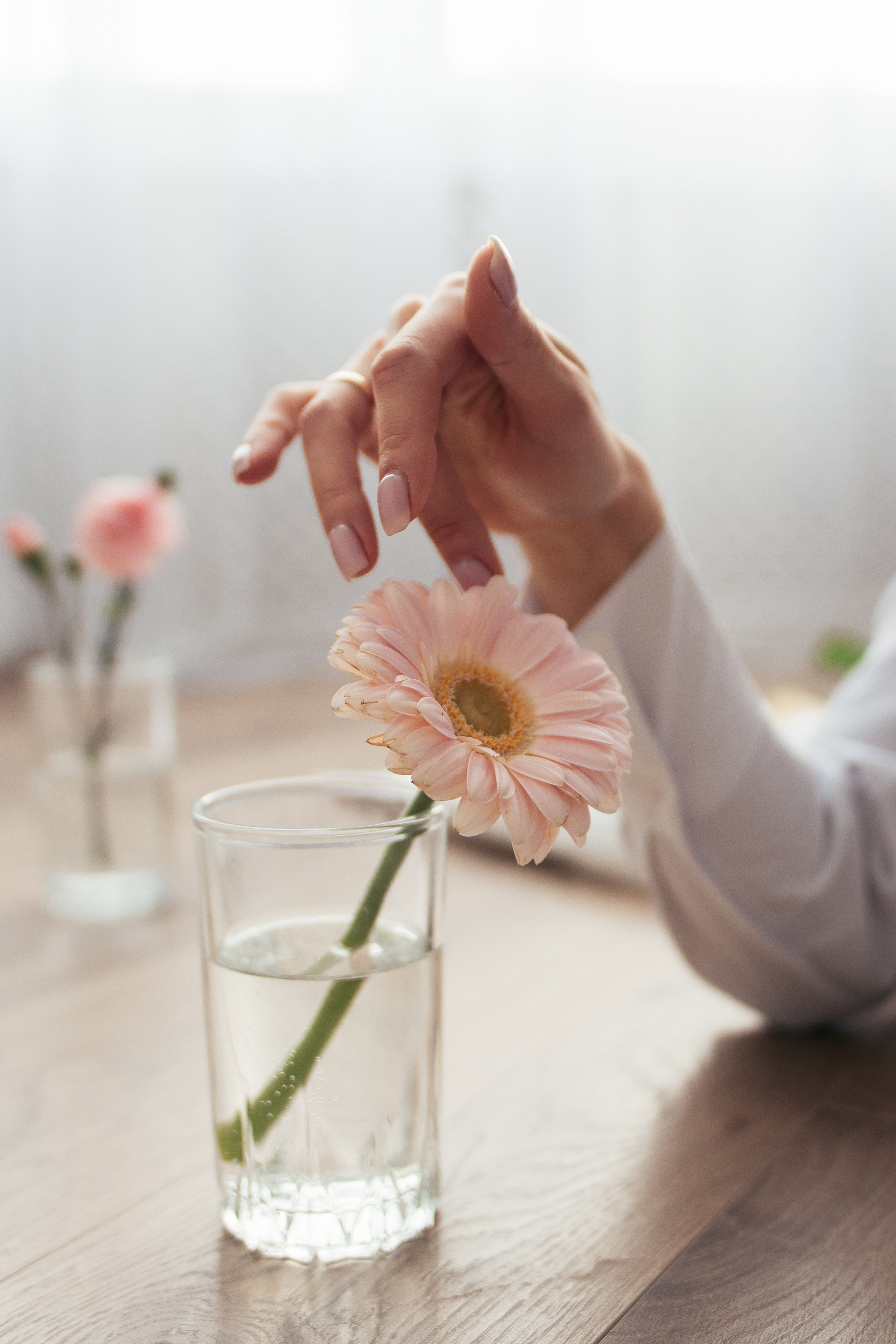 Карина. Главная