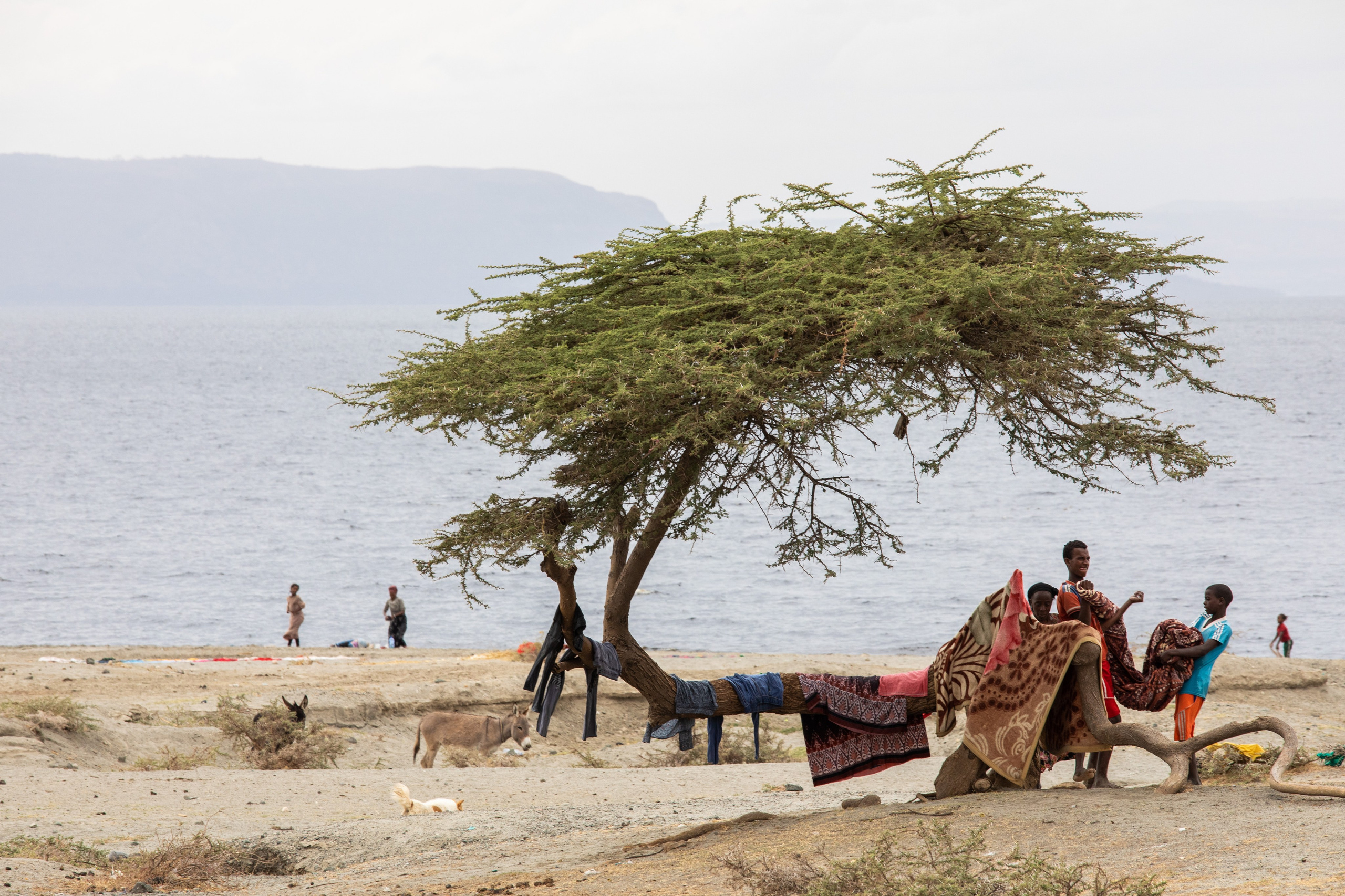 Abijatta Shalla National Park, Ethiopia. Documentary, lifestile photographer in Morocco Marina Chaikovskaia