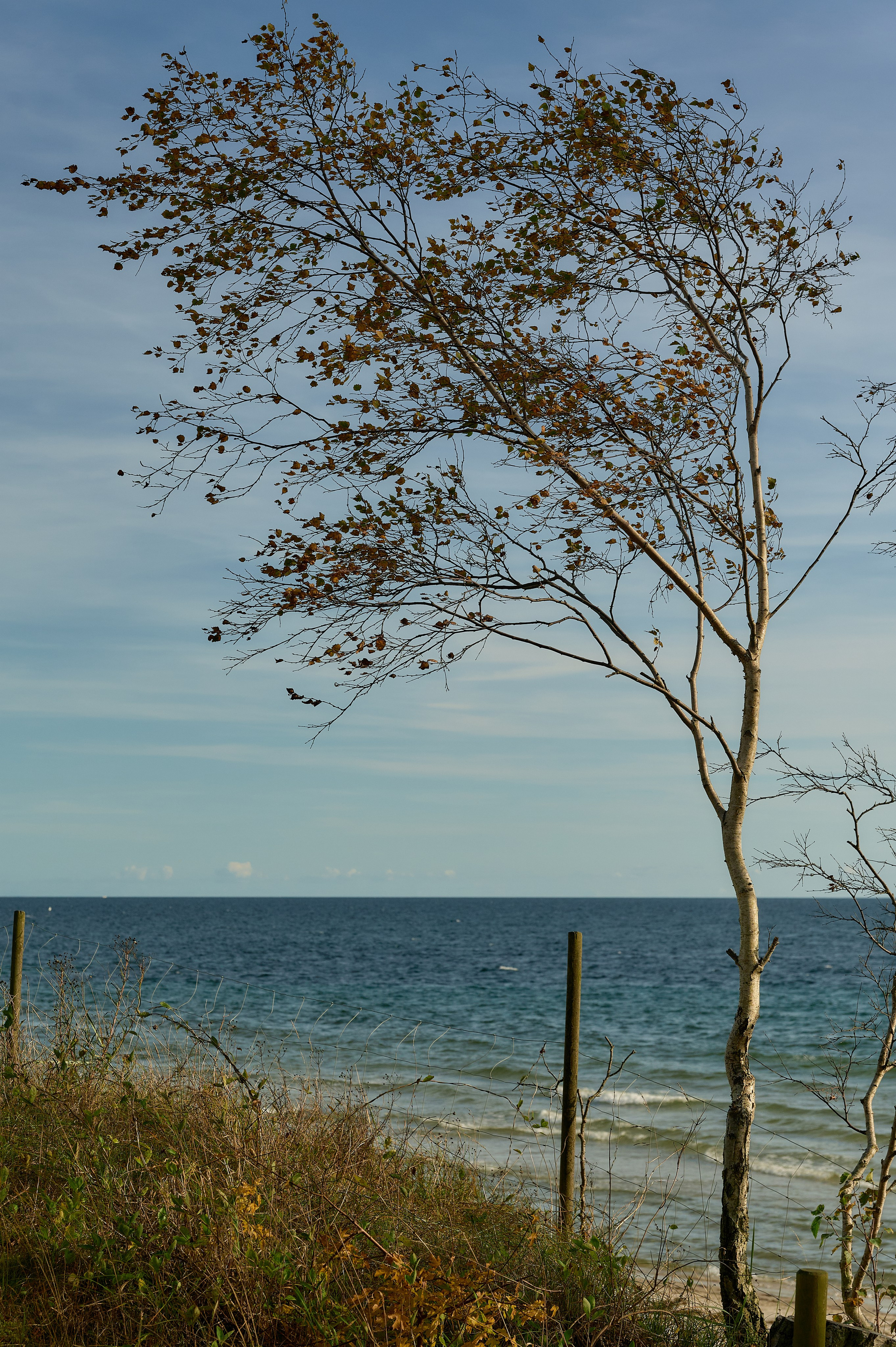 Landscapes by Yury Popkov. Yuri Popkov | Photographer