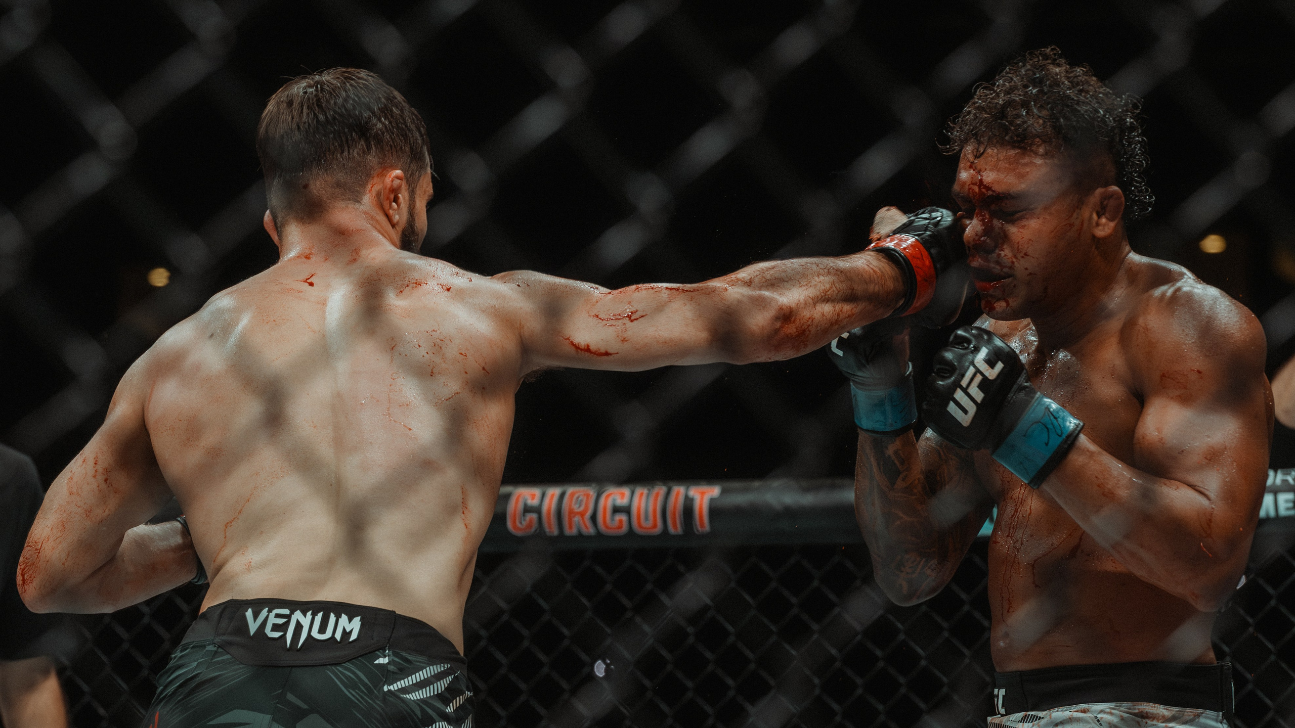 UFC. Commercial and Event photographer Eltaj
