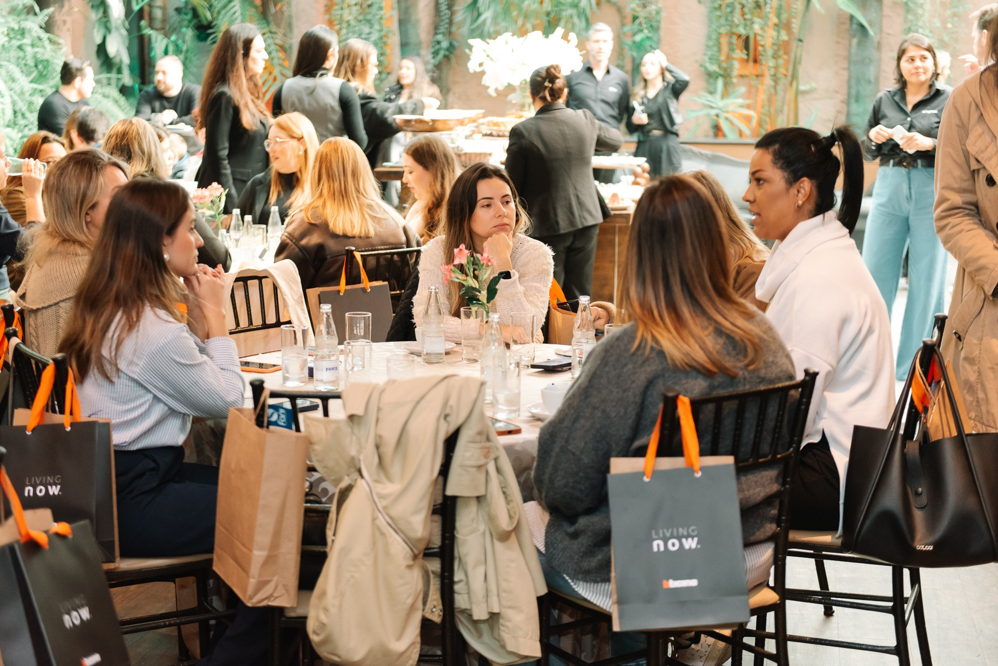 Café + Conteúdo | Casa Pinezi. 78 Imagens