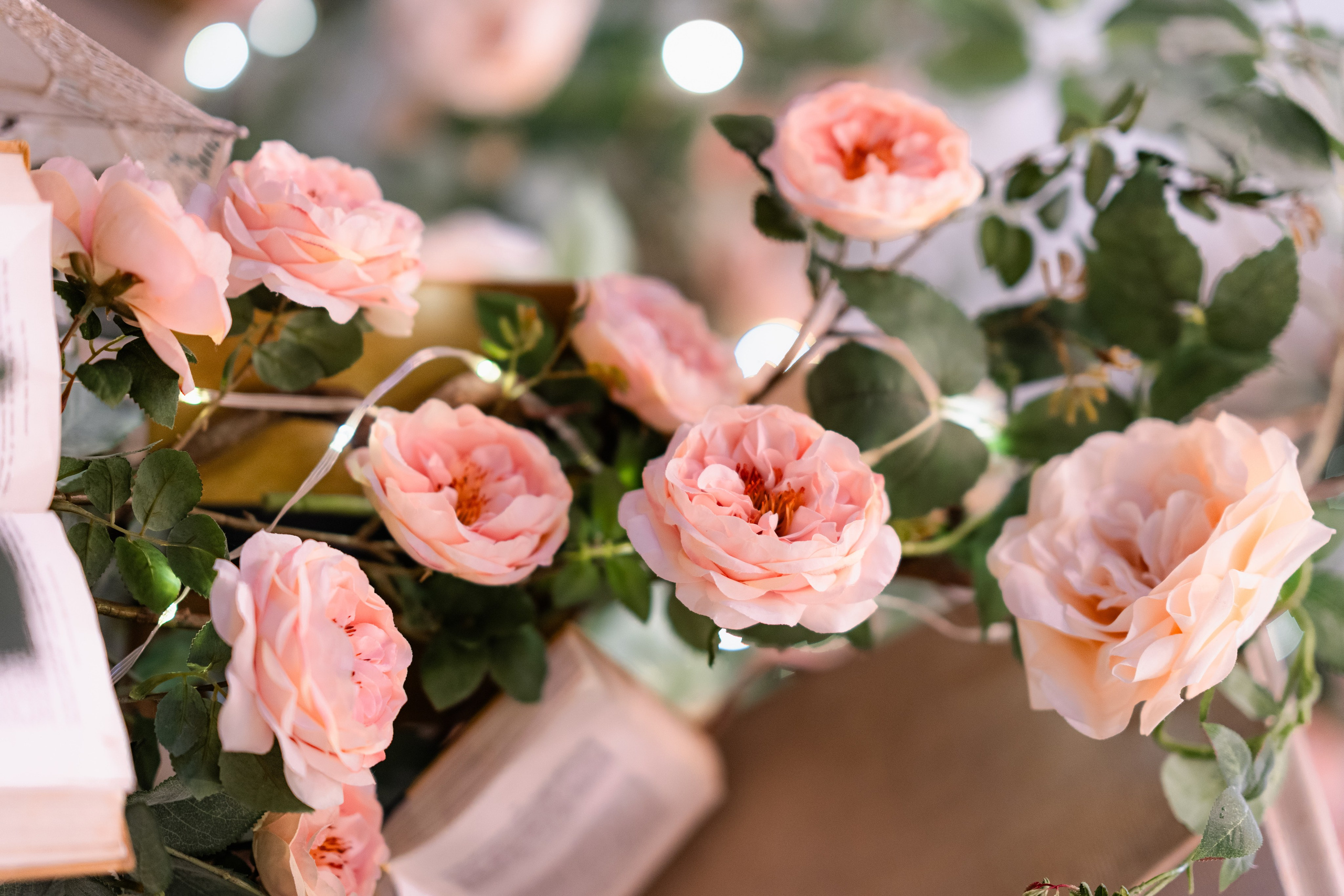 Vasylyna. Tonya Kyrylenko photographer in London