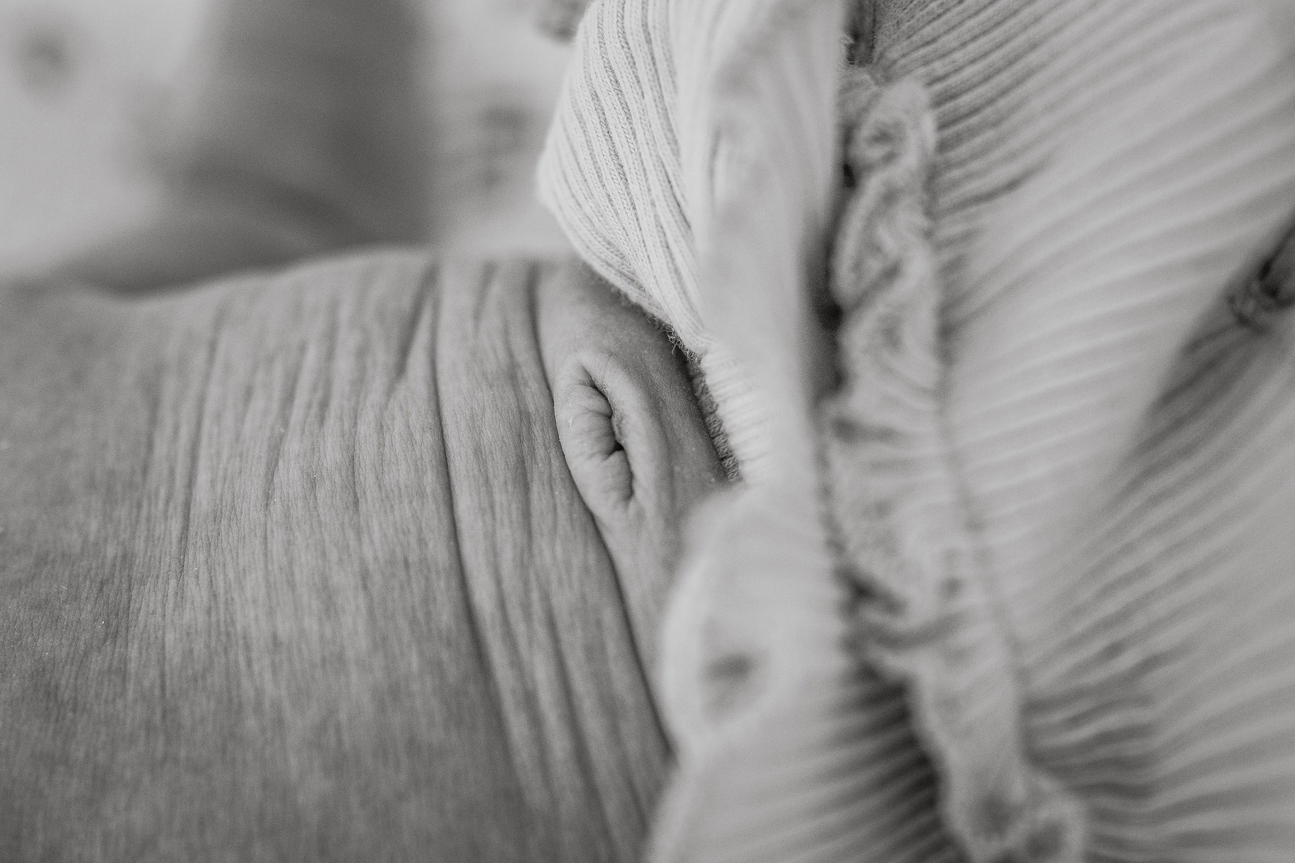 Natasha, Emilia, Brandon, Clara. Alisa Tant — Family and newborn photographer Bucks County, Montgomery county, Philadelphia, NJ