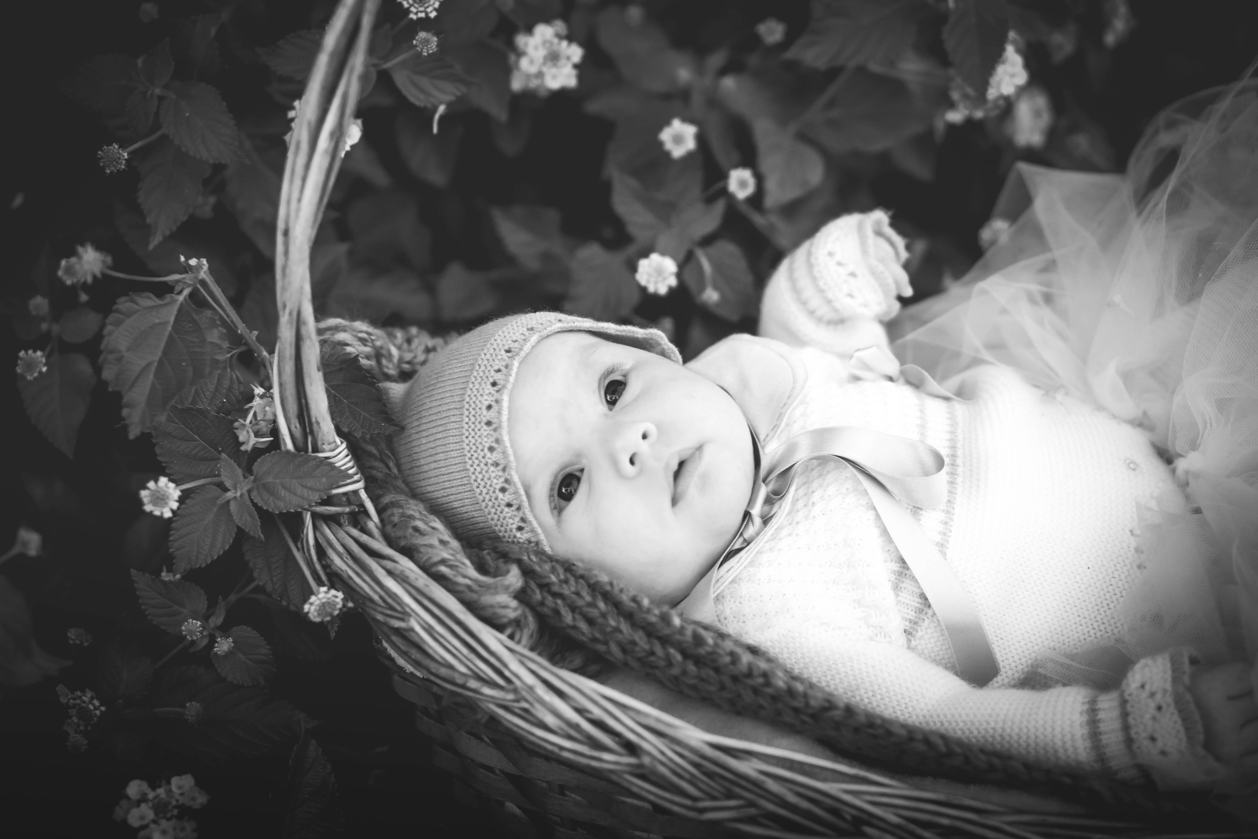 Olivia. Alba del Norte Studio