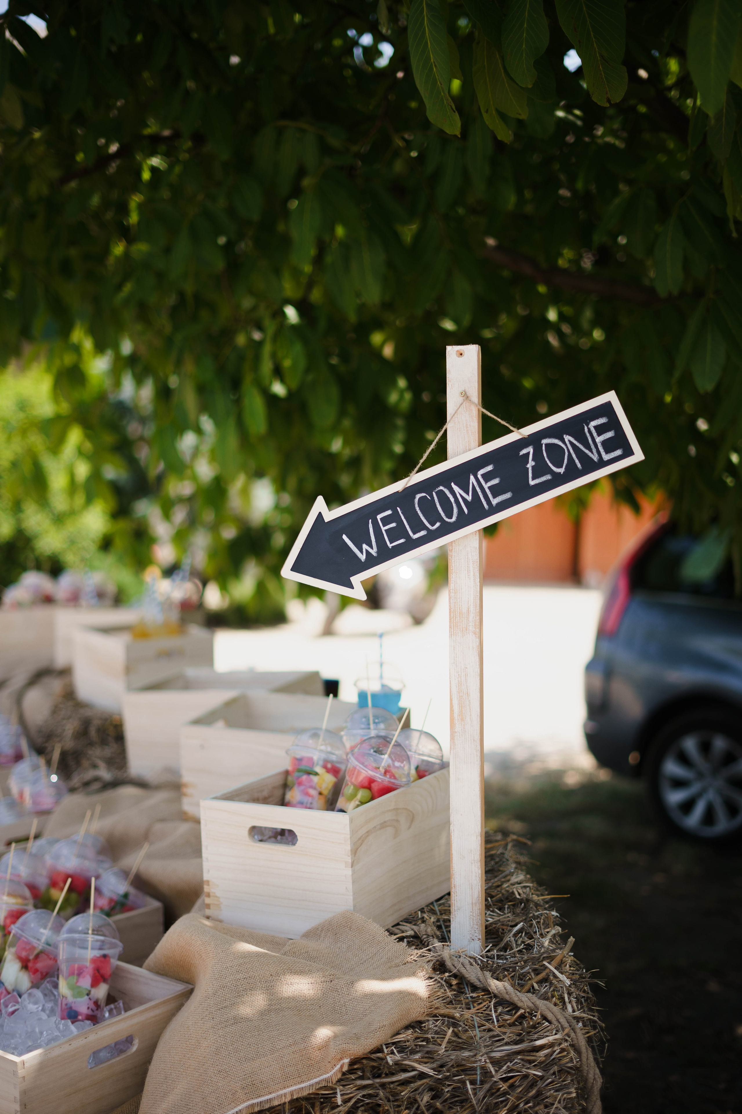 FiveTran Summer Picnic. Жуков Студио