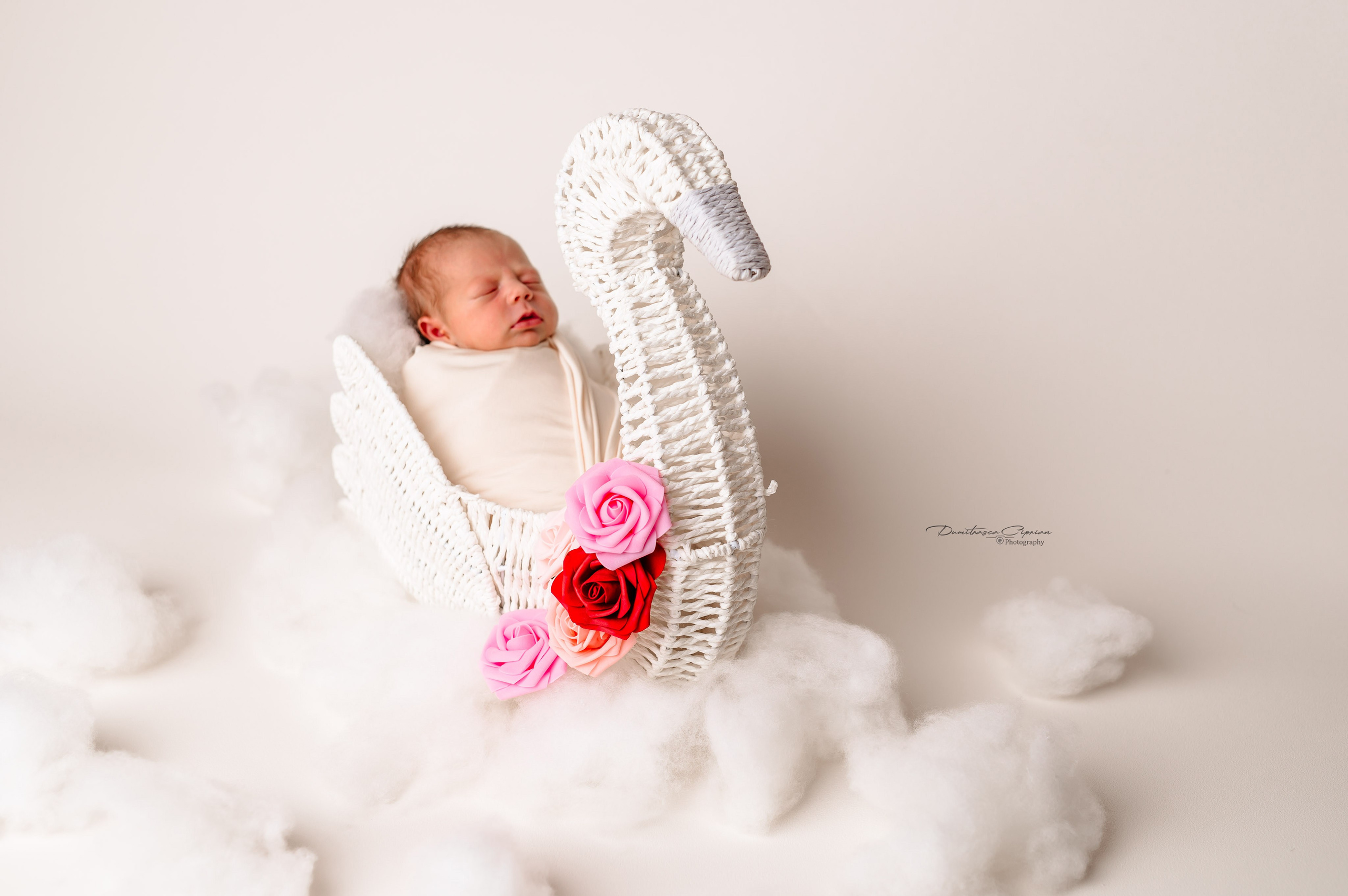 A sweet little angel. Dumitrasca Ciprian Photography