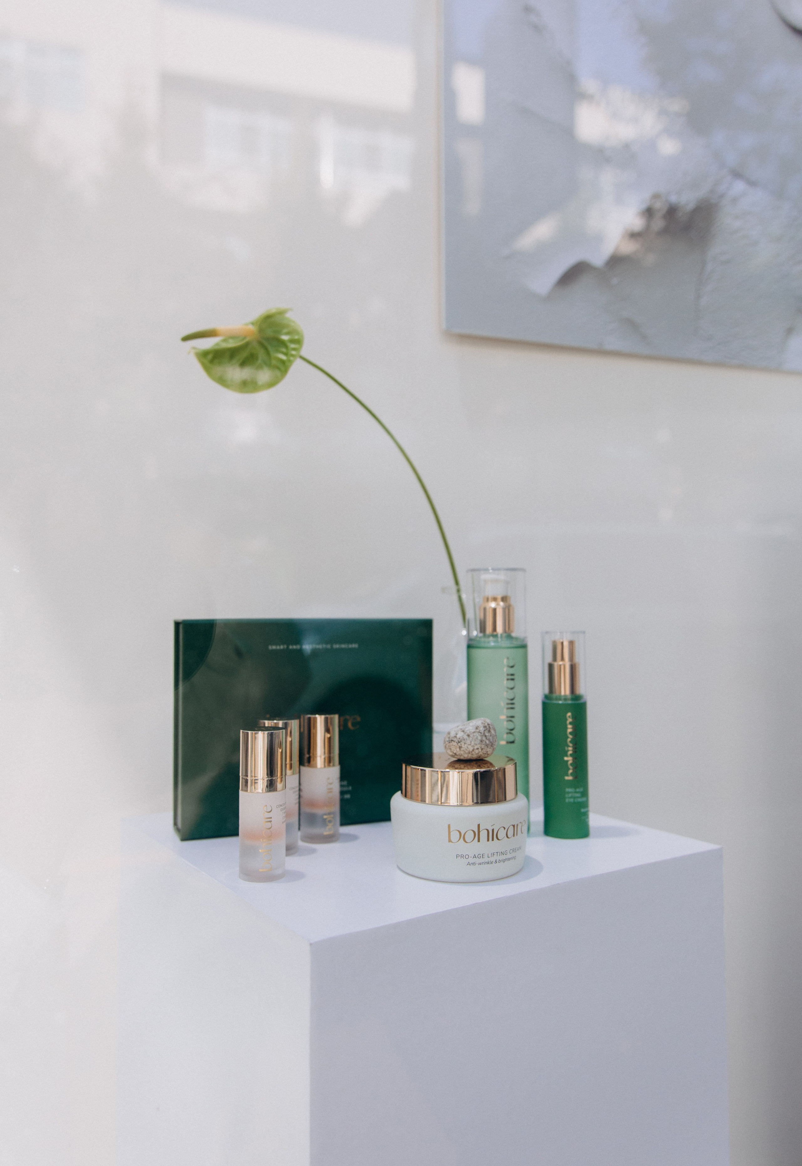 THE ART OF RENEWAL/ bohicare (2024). Студия декора «Нарния»