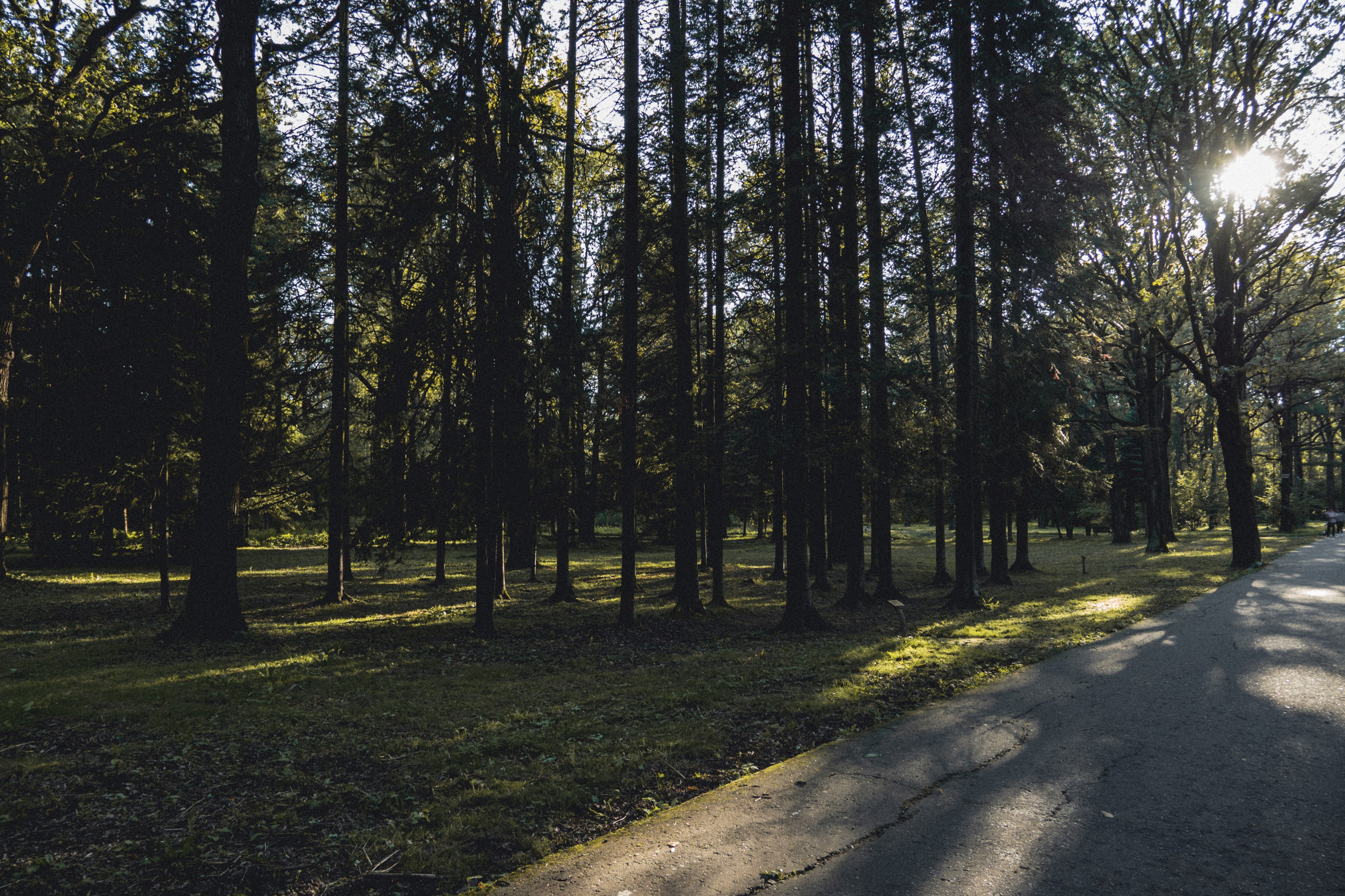 ВДНХ и Ботанический сад. Семейный и детский фотограф на Лазурном Берегу