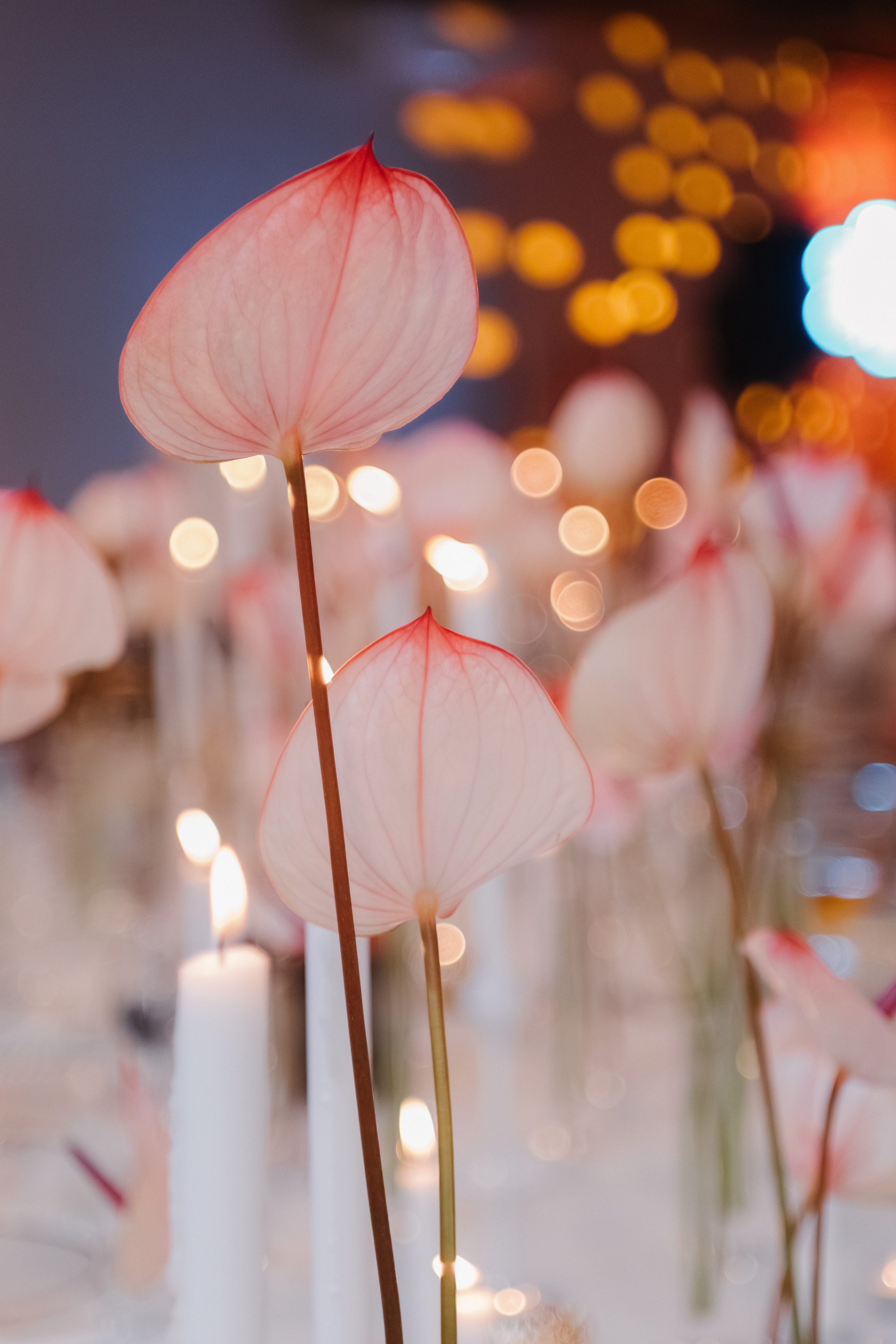 DIANA IR KAROLIS | ELEGANTIŠKOS VESTUVĖS. Vestuvių ir nėščiųjų fotografė Raminta Razmaitė