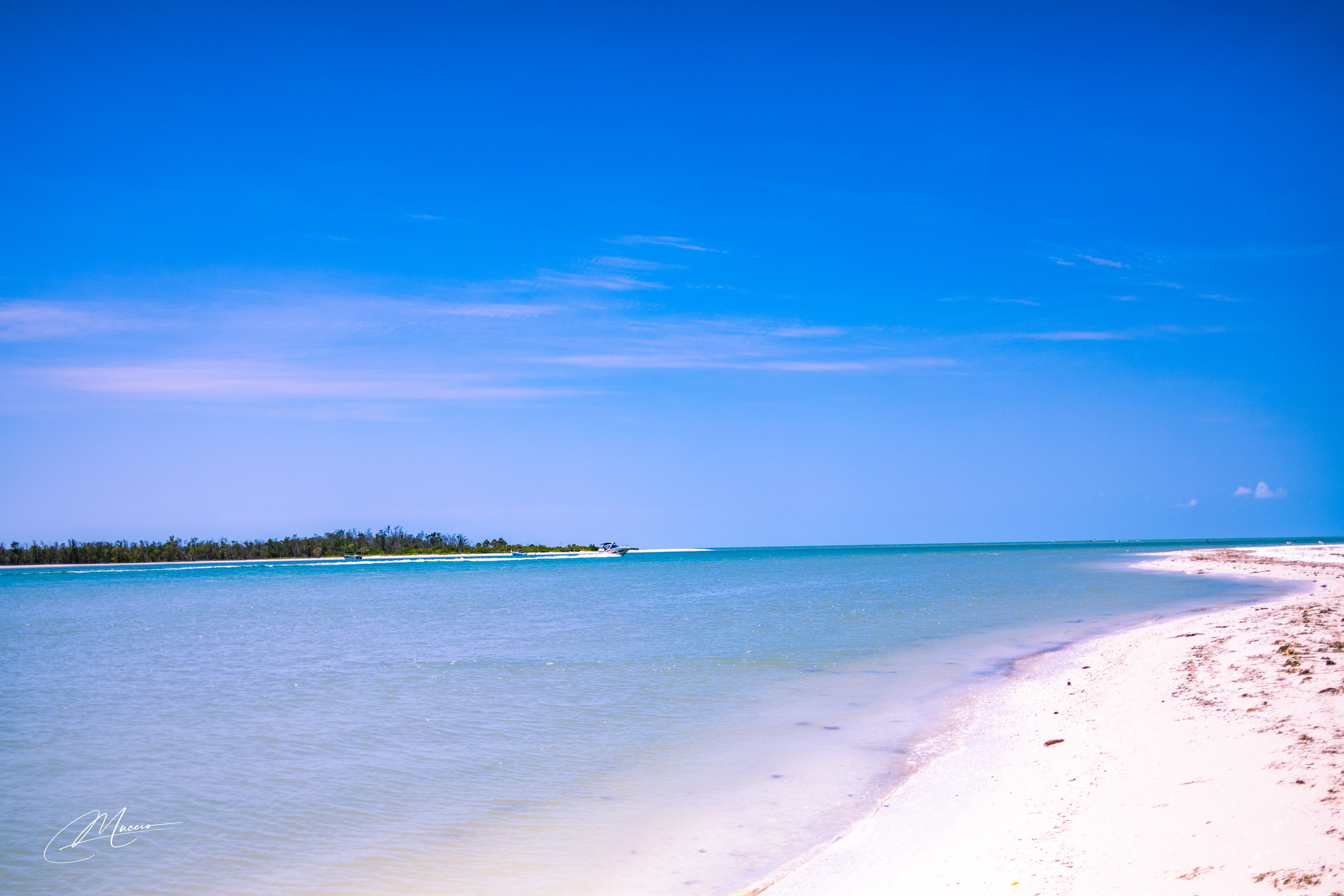 Fort Myers. Out and About 239