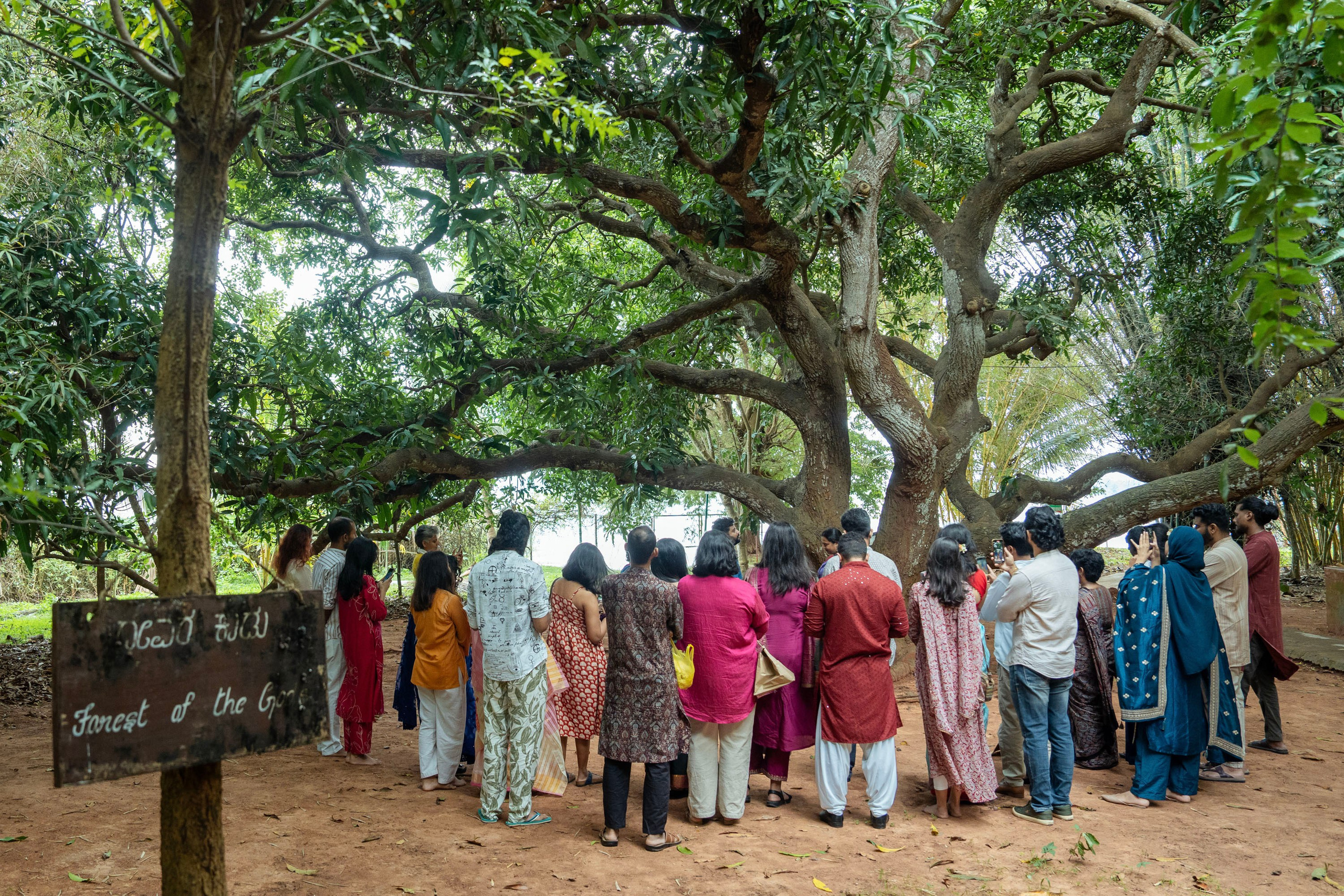 Shraddha & Sumukha, Mantra Mangalya Wedding under a Mango Tree, Red Earth Kabini | Truly Yours