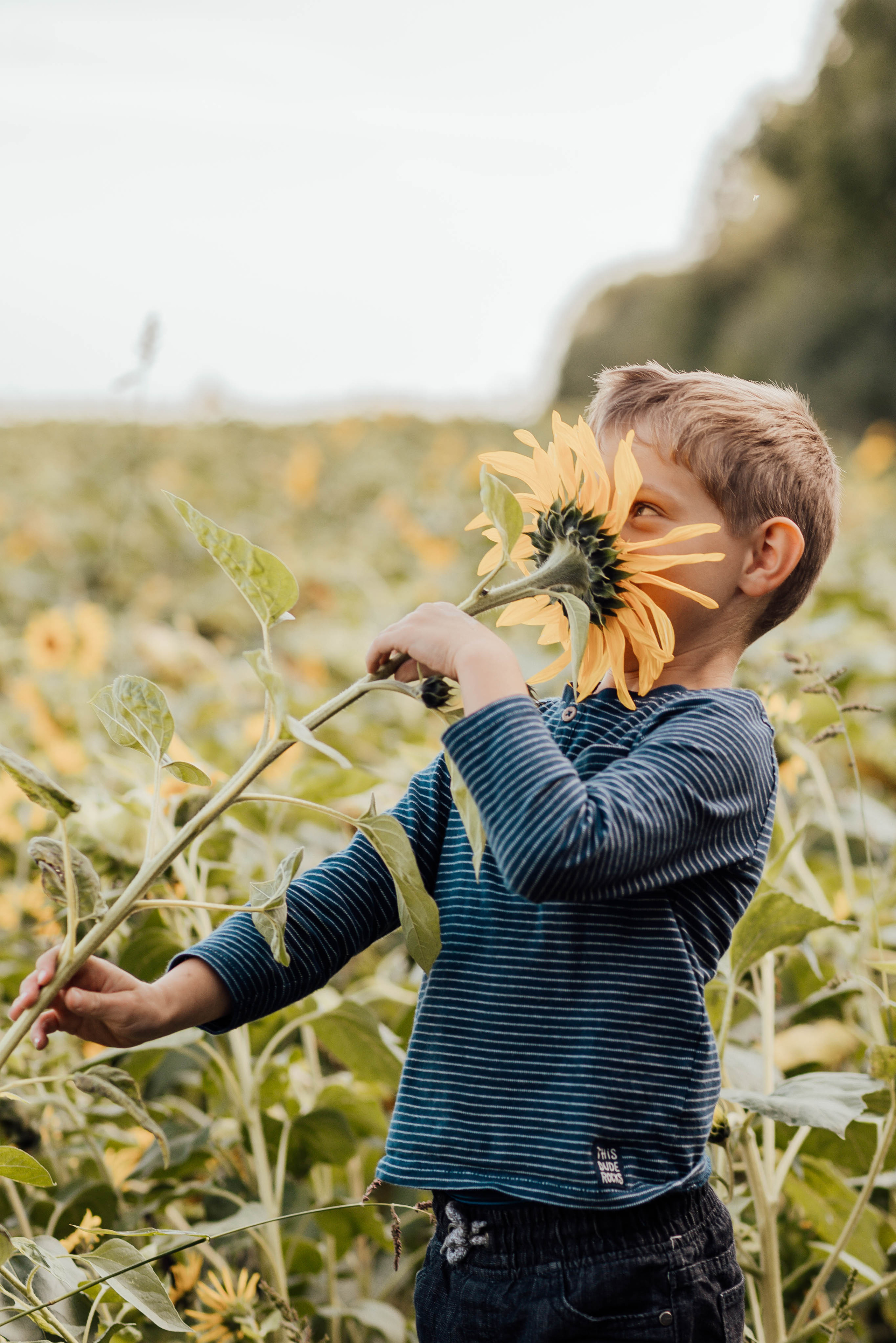EINSCHULUNG. Фотограф в Нюрнберге Ирина Менерт из Ансбаха