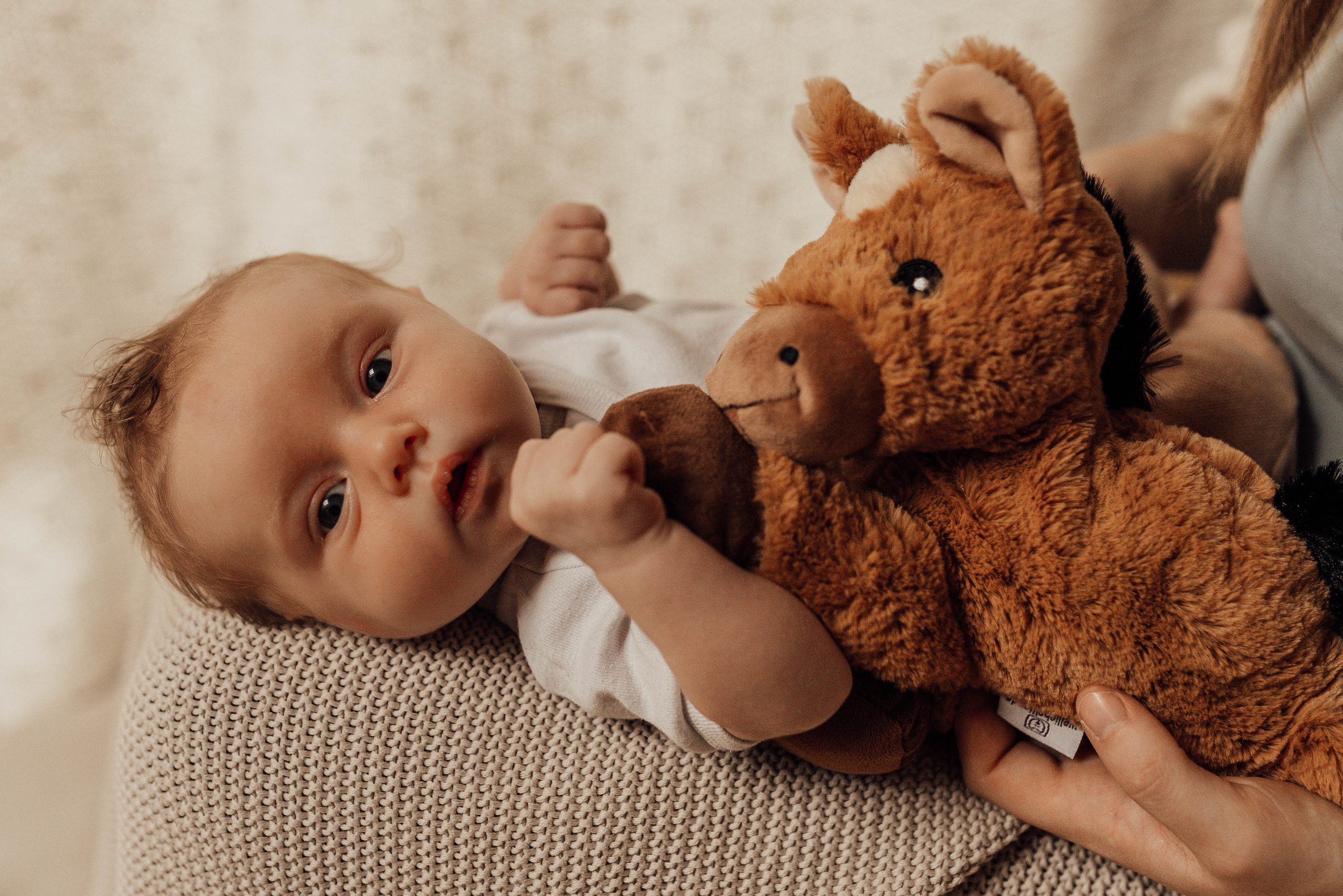 SWEET NOVEMBER. Photographer in Nuremberg Irina Mehnert from Ansbach