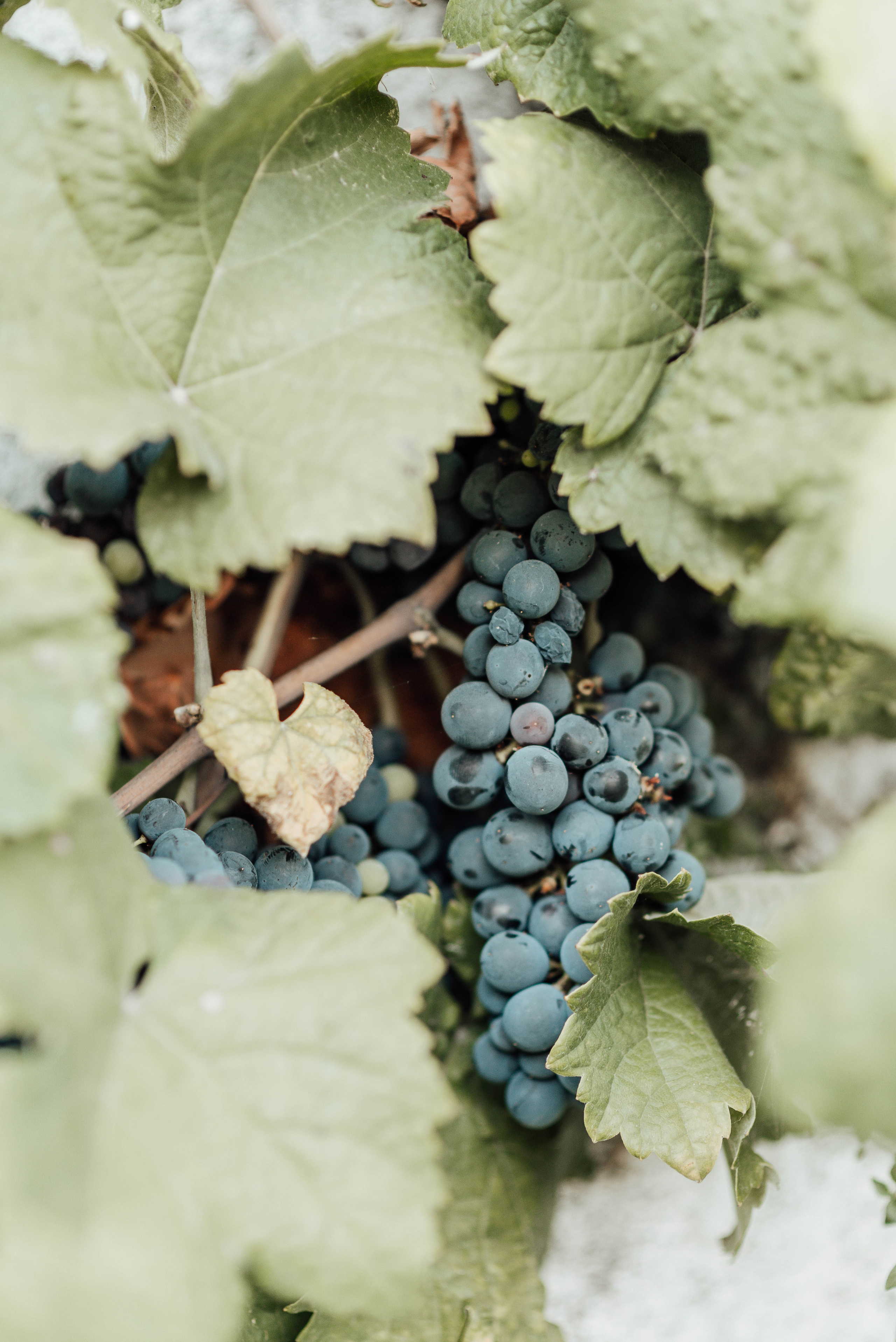 VITAMIN SEA. Photographer in Nuremberg Irina Mehnert from Ansbach