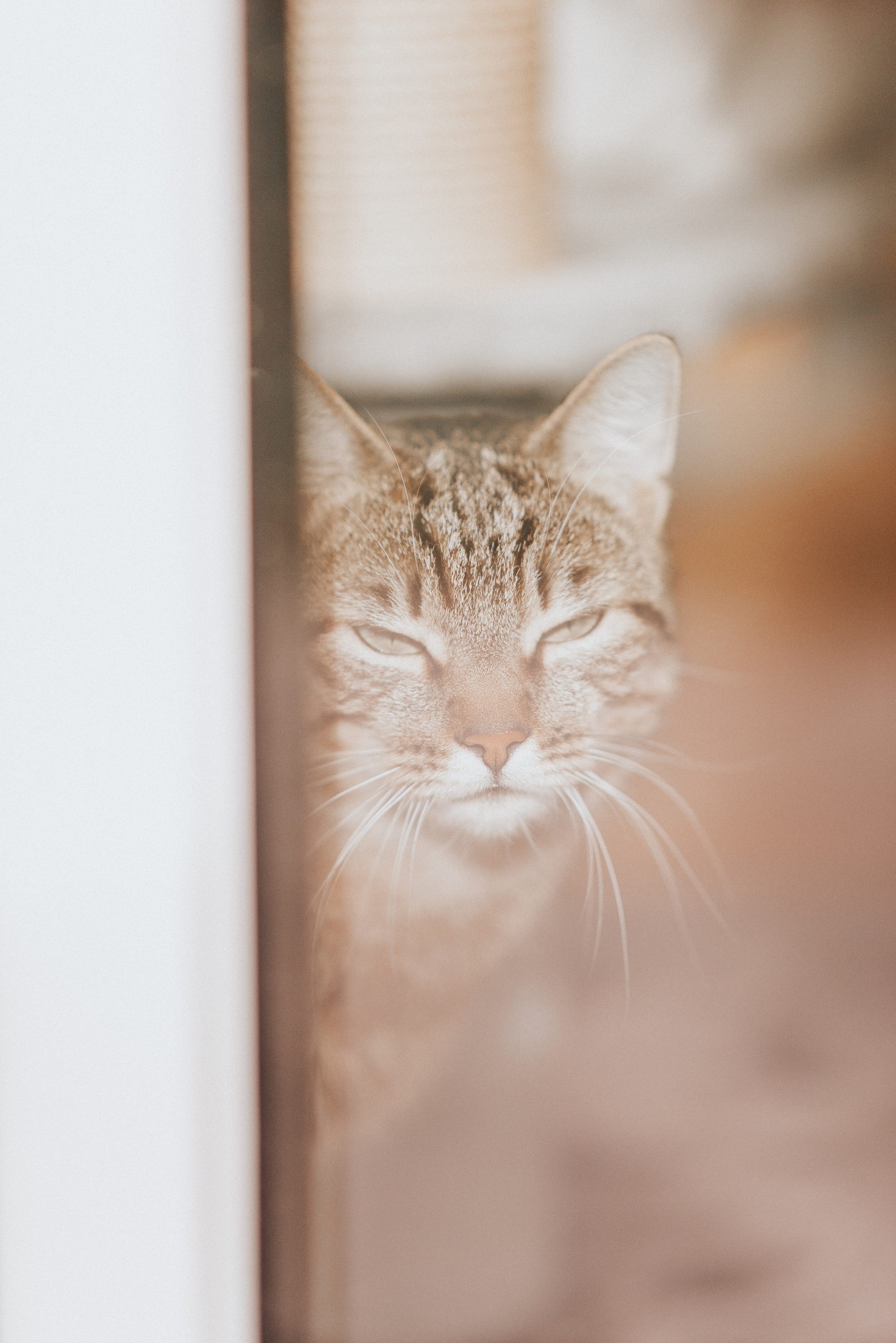 #STAYHOME. Fotografin Ansbach - Paare | Hochzeit | After Wedding