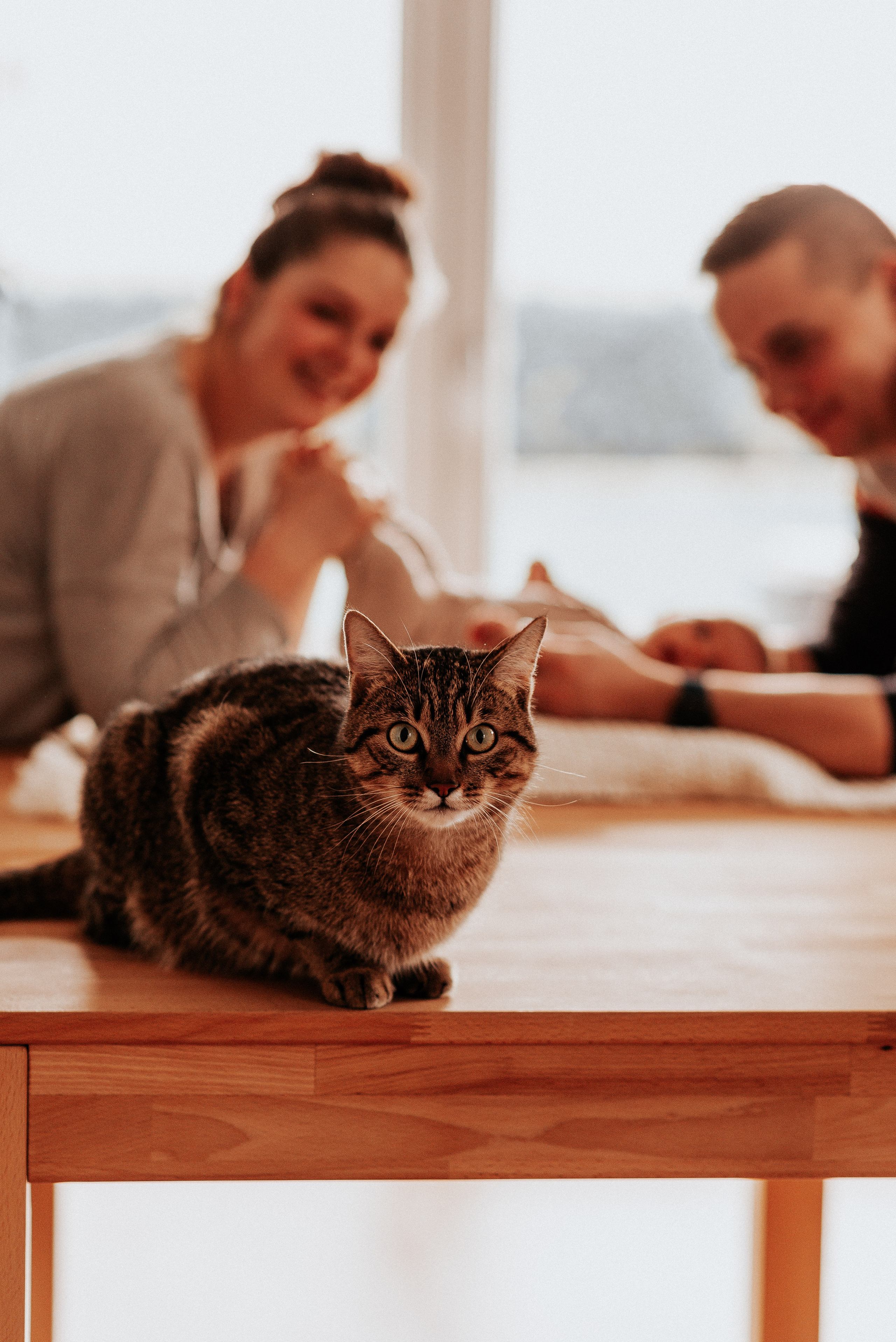#STAYHOME. Fotografin Ansbach - Paare | Hochzeit | After Wedding