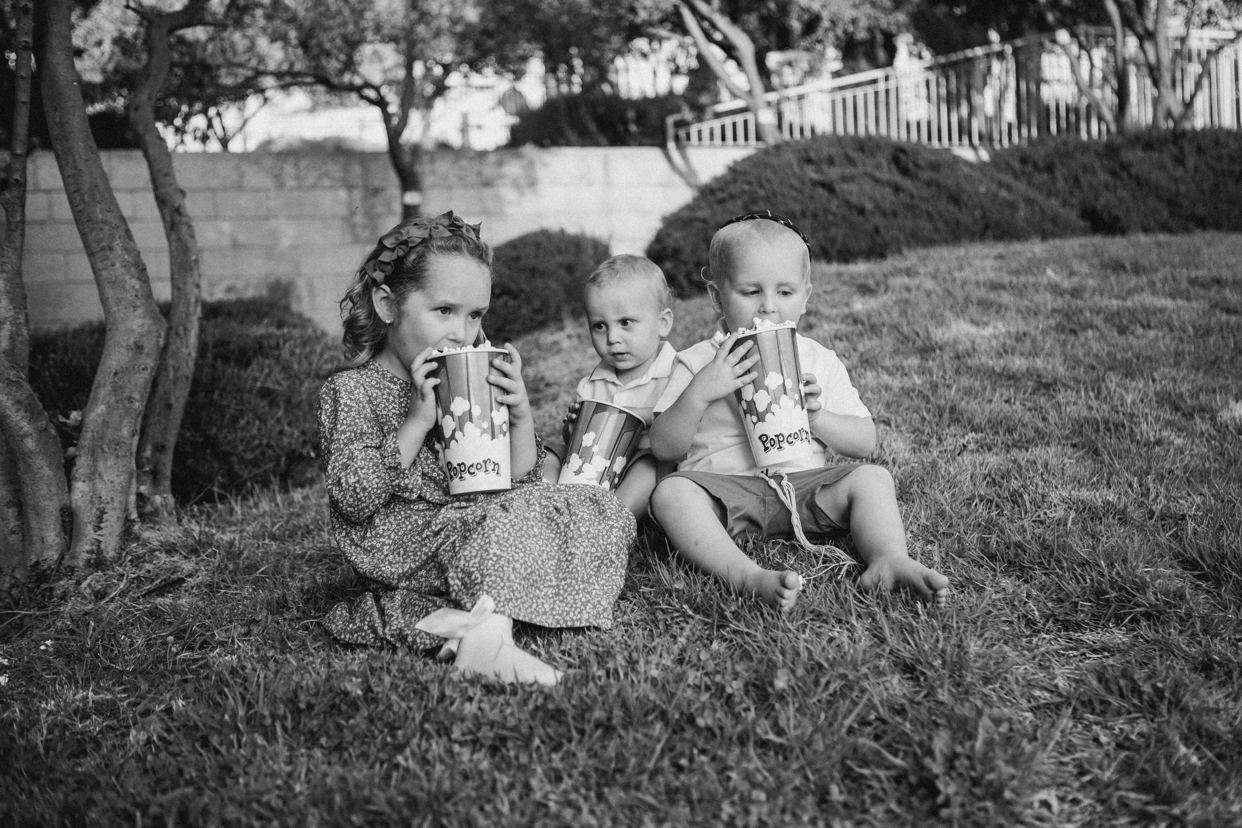 JERUSALEM CENTER. Https://shi-photo.com/