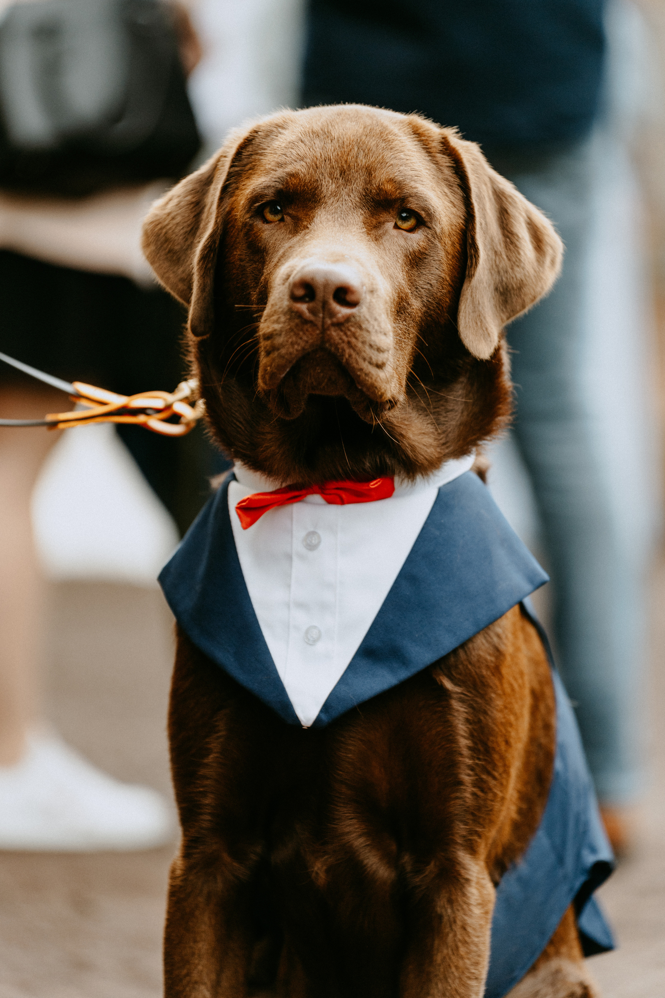 Hochzeit - Lena & Tim. Thorben Ihler - Dein Fotograf aus Emden