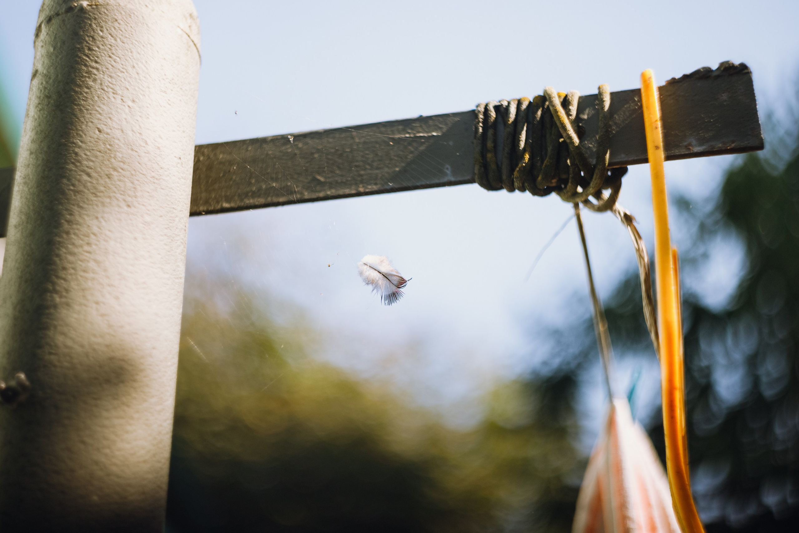 Grandmother's home in Brest. Kaja | fotograf we Wrocławiu | ludzie i psy