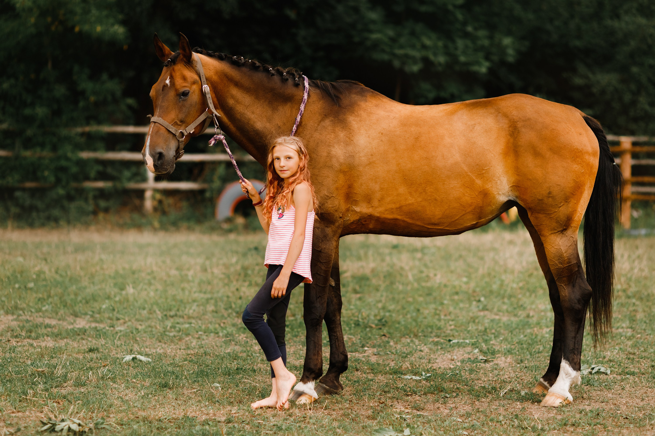Girls & horses, summer. Kaja | fotograf psów we Wrocławiu