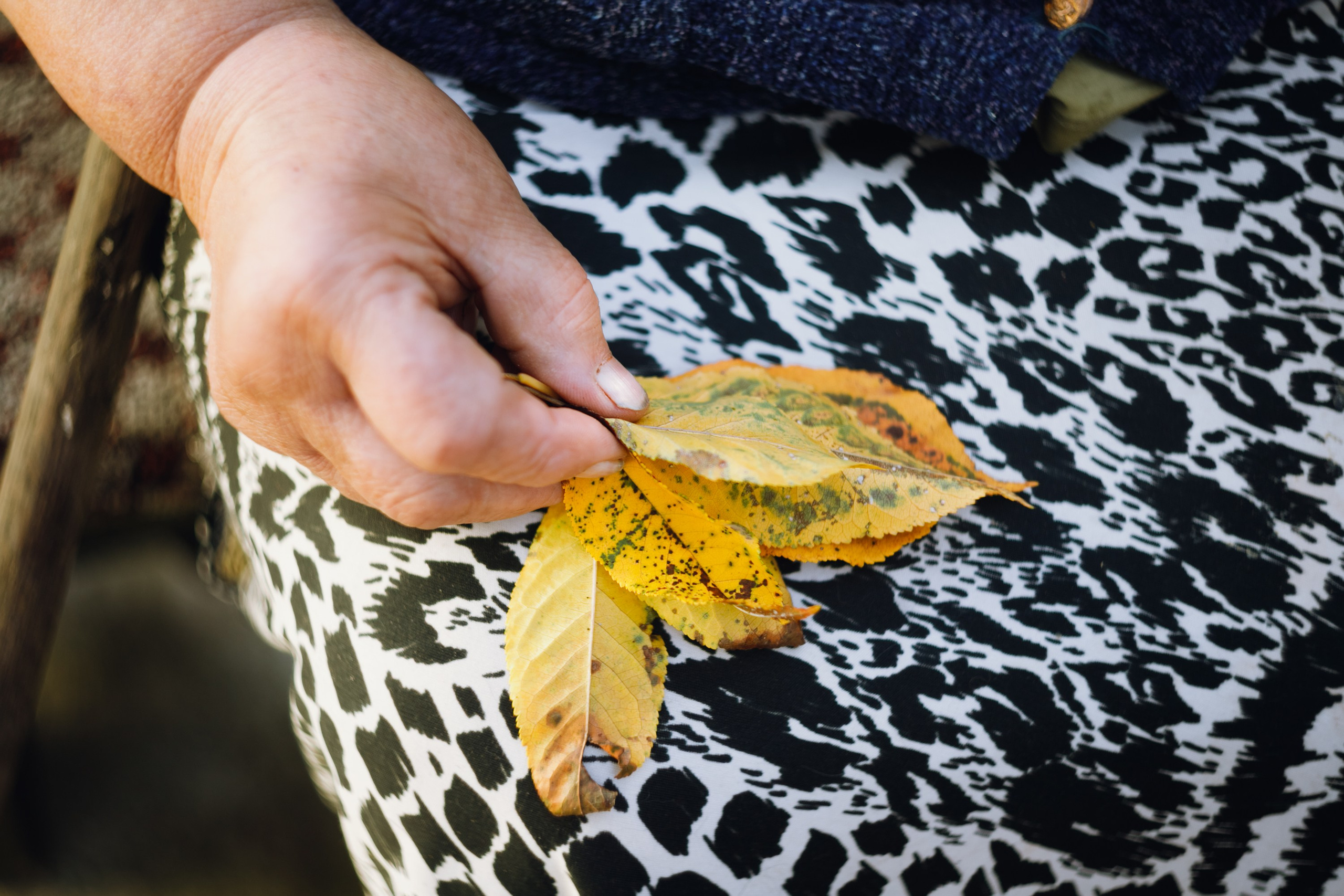 Grandmother's home in Brest. Kaja | fotograf we Wrocławiu | ludzie i psy