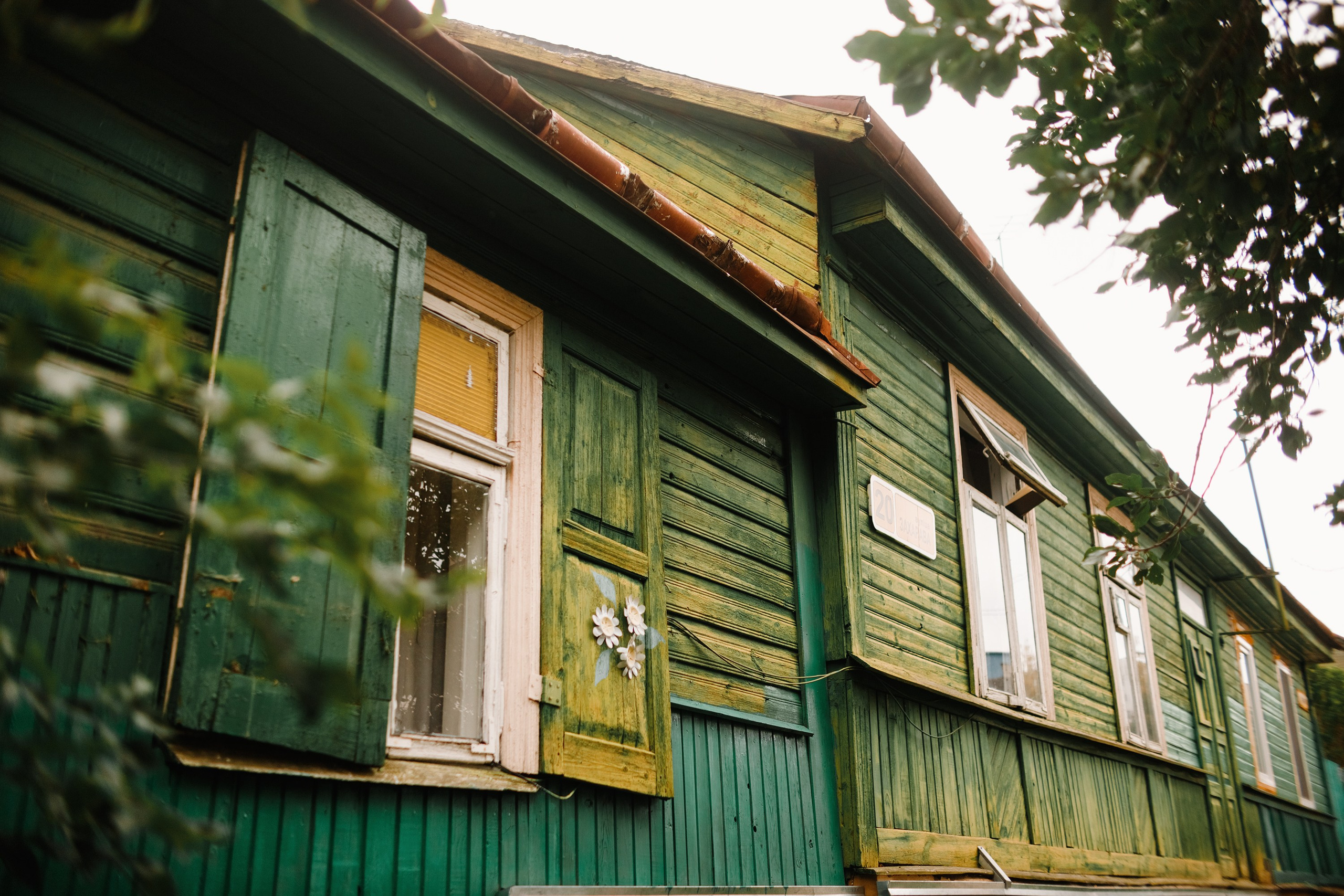 Grodno. Kaja | fotograf we Wrocławiu | ludzie i psy