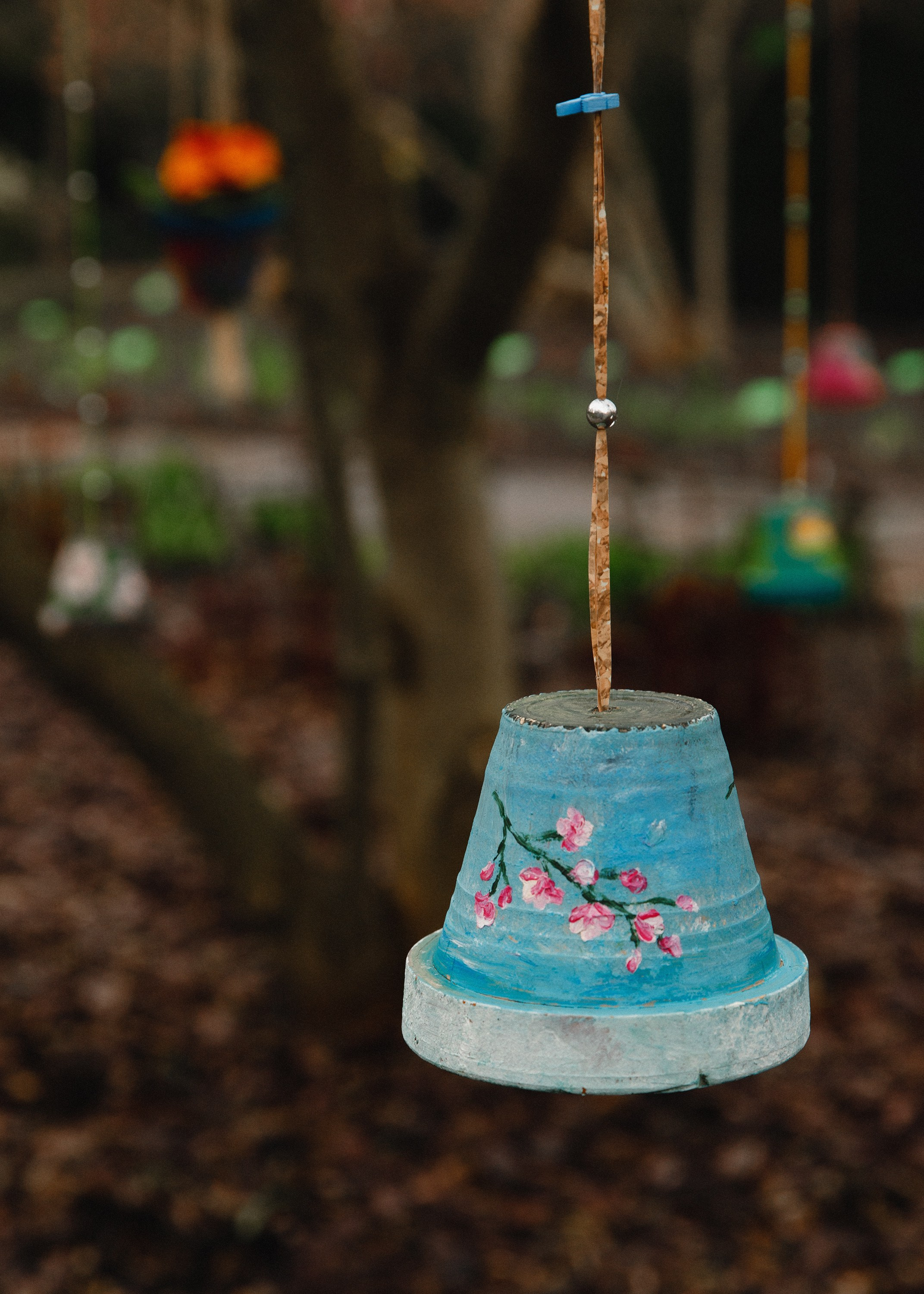 Botanical garden in Wroclaw. Kaja | fotograf we Wrocławiu | ludzie i psy