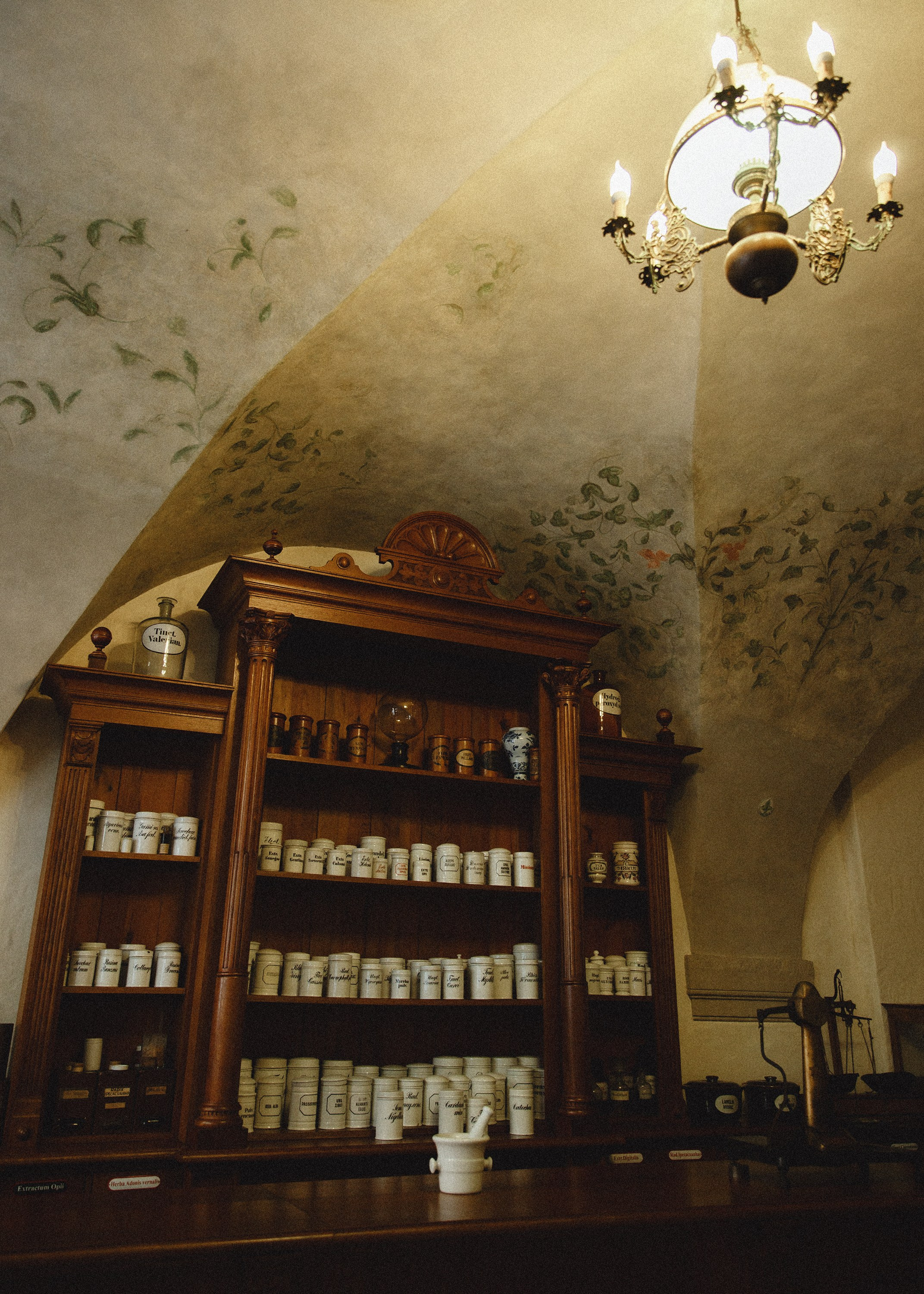 Museum of farmacy in Wroclaw. Kaja | fotograf we Wrocławiu | ludzie i psy