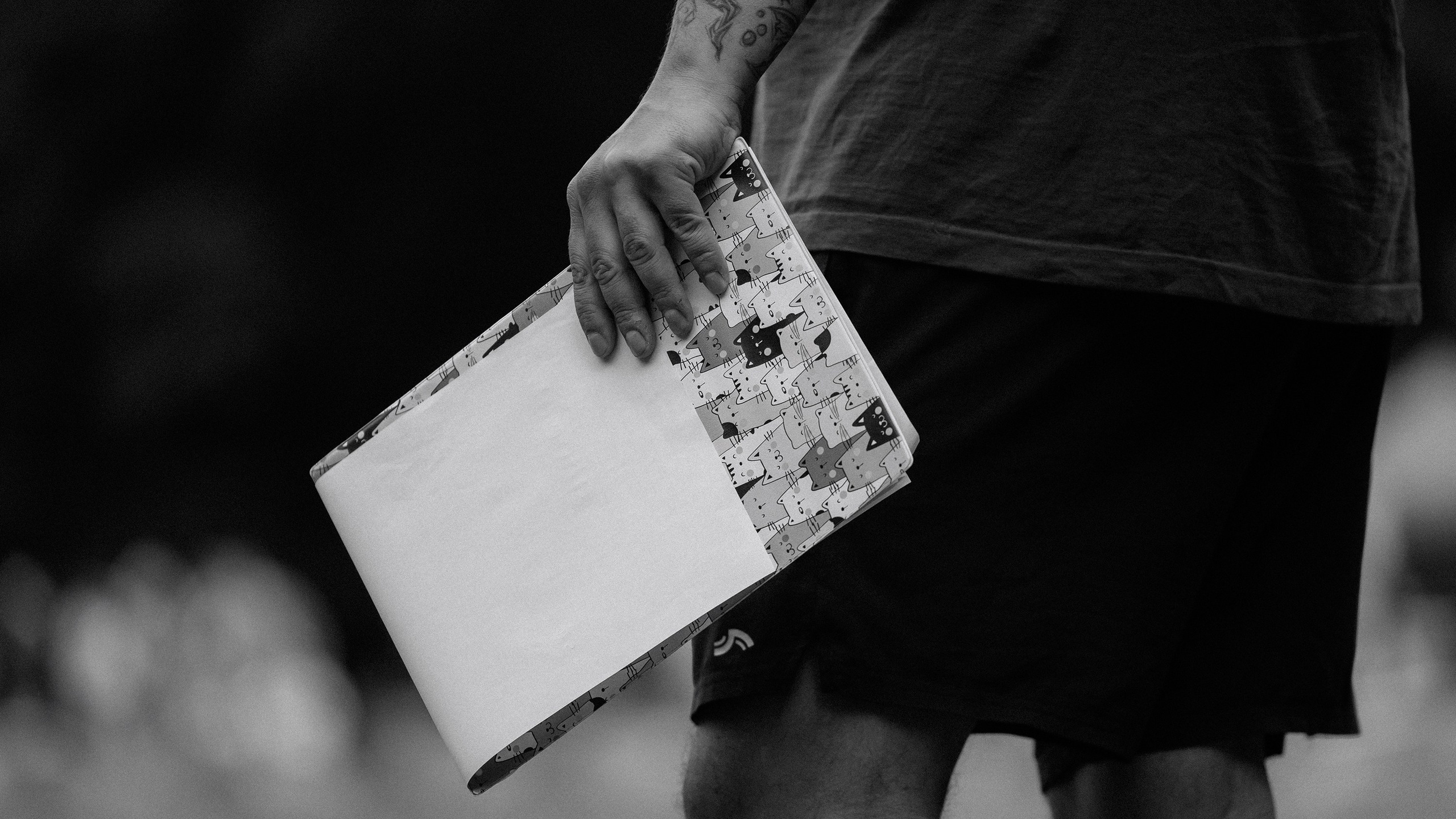 Latające psy, Wrocław'25. Kaja | fotograf psów we Wrocławiu