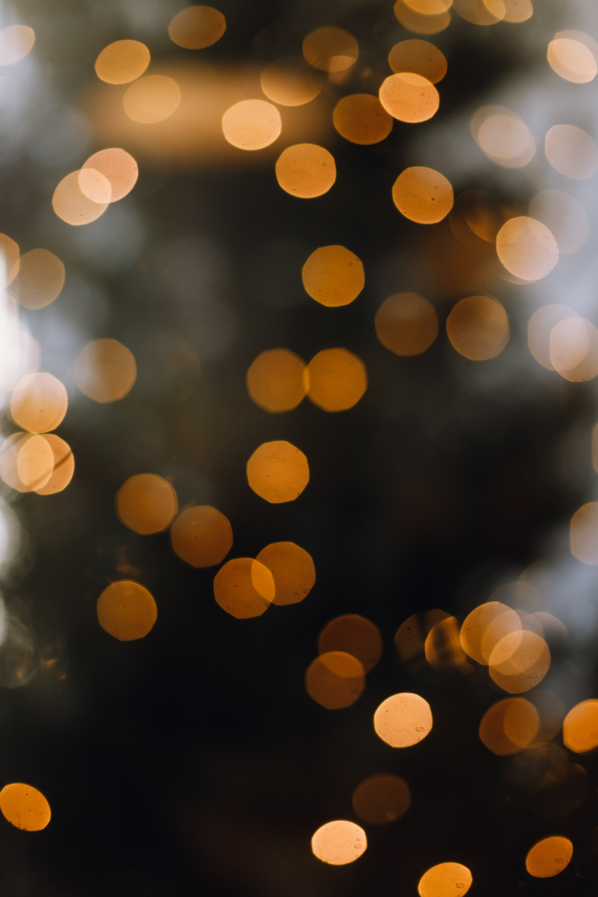 Psychologist blog content. Kaja | fotograf we Wrocławiu | ludzie i psy