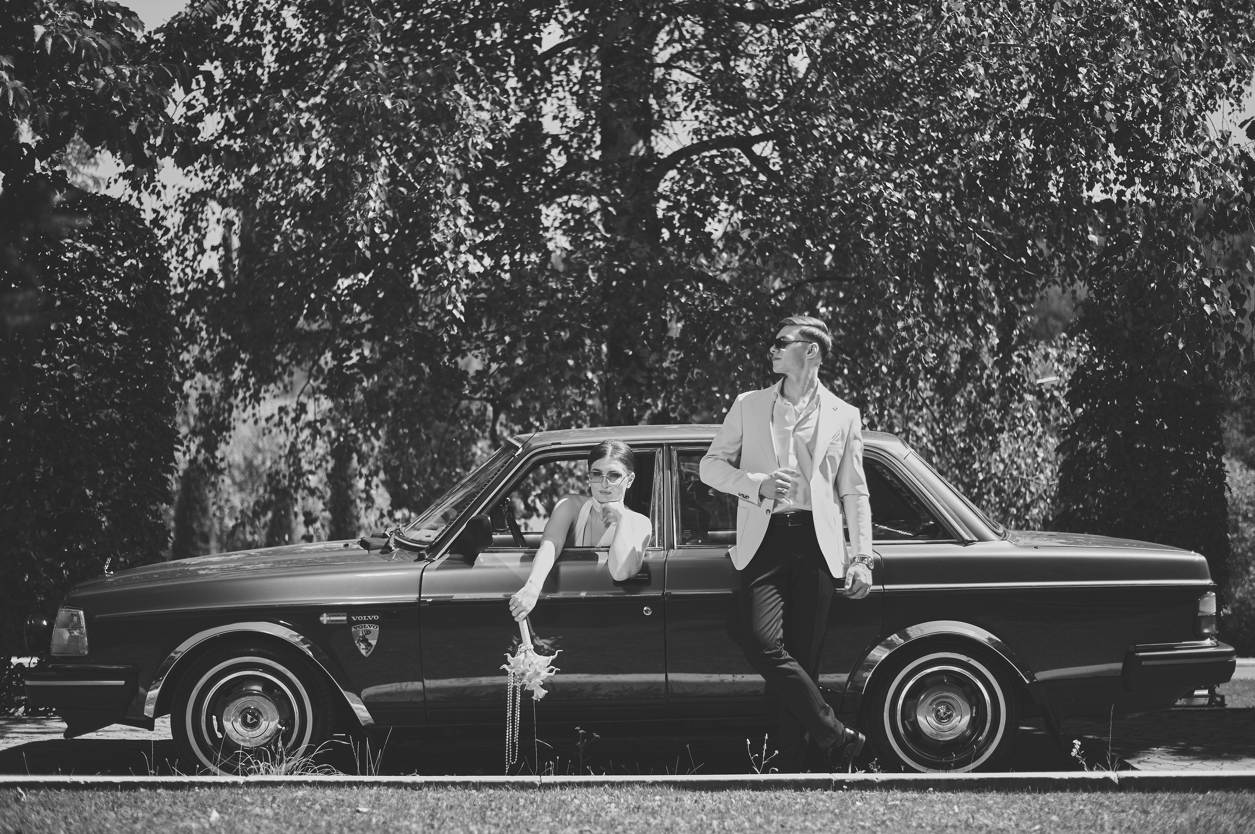 Nicolae & Ilinca. Excellens