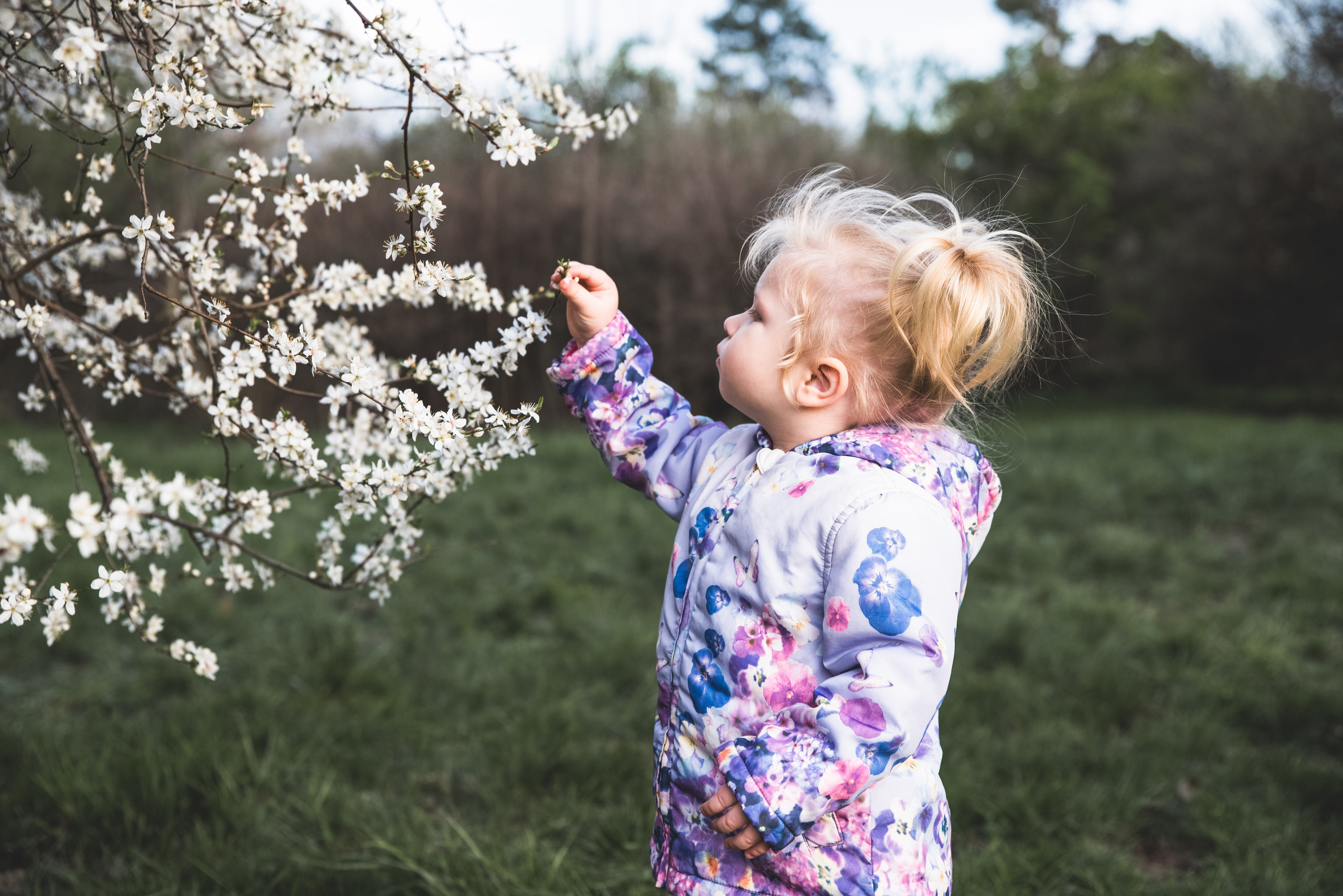 Солнечный весенний день. Ekaterina Verbitskaya. Photography