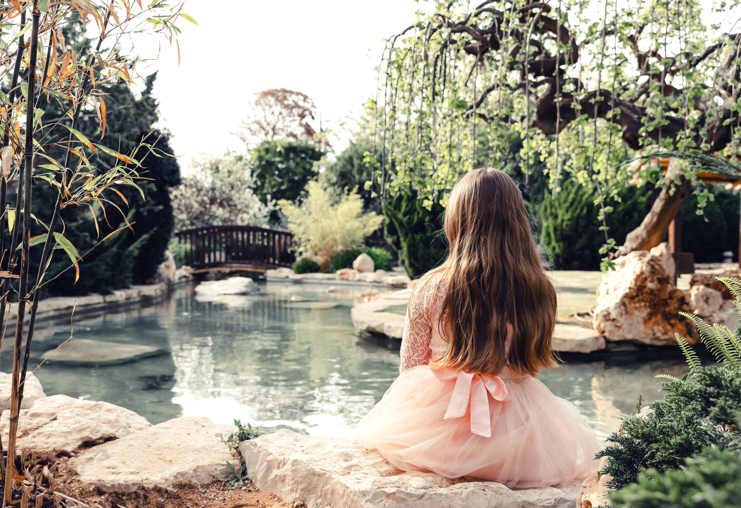 בוק בת מצווה. צלמת אירועים בוק בת מצווה נטלי טופילט