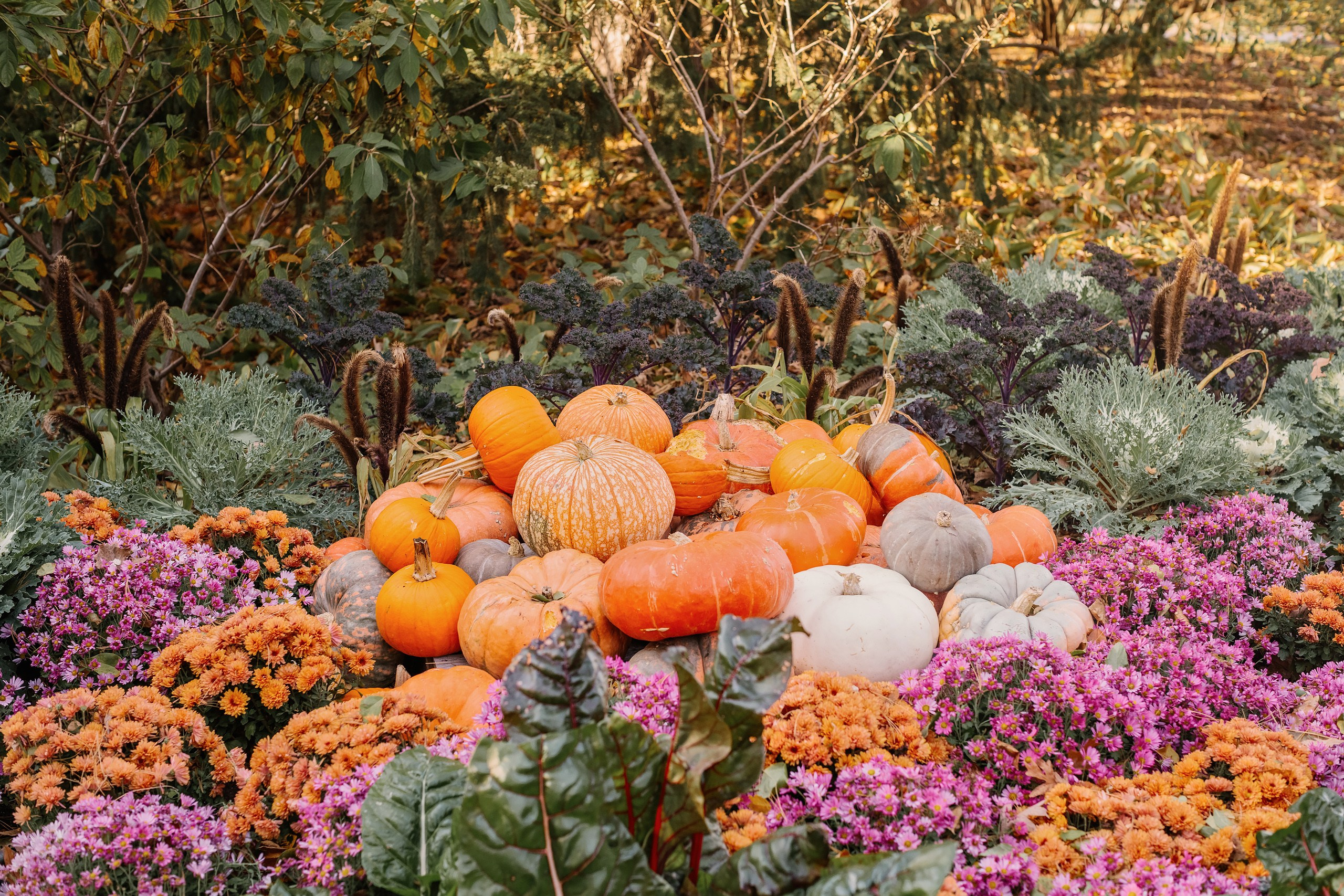 11.02.2024 Love Story. Wedding family event photographer in Chicago Nick Yushevich