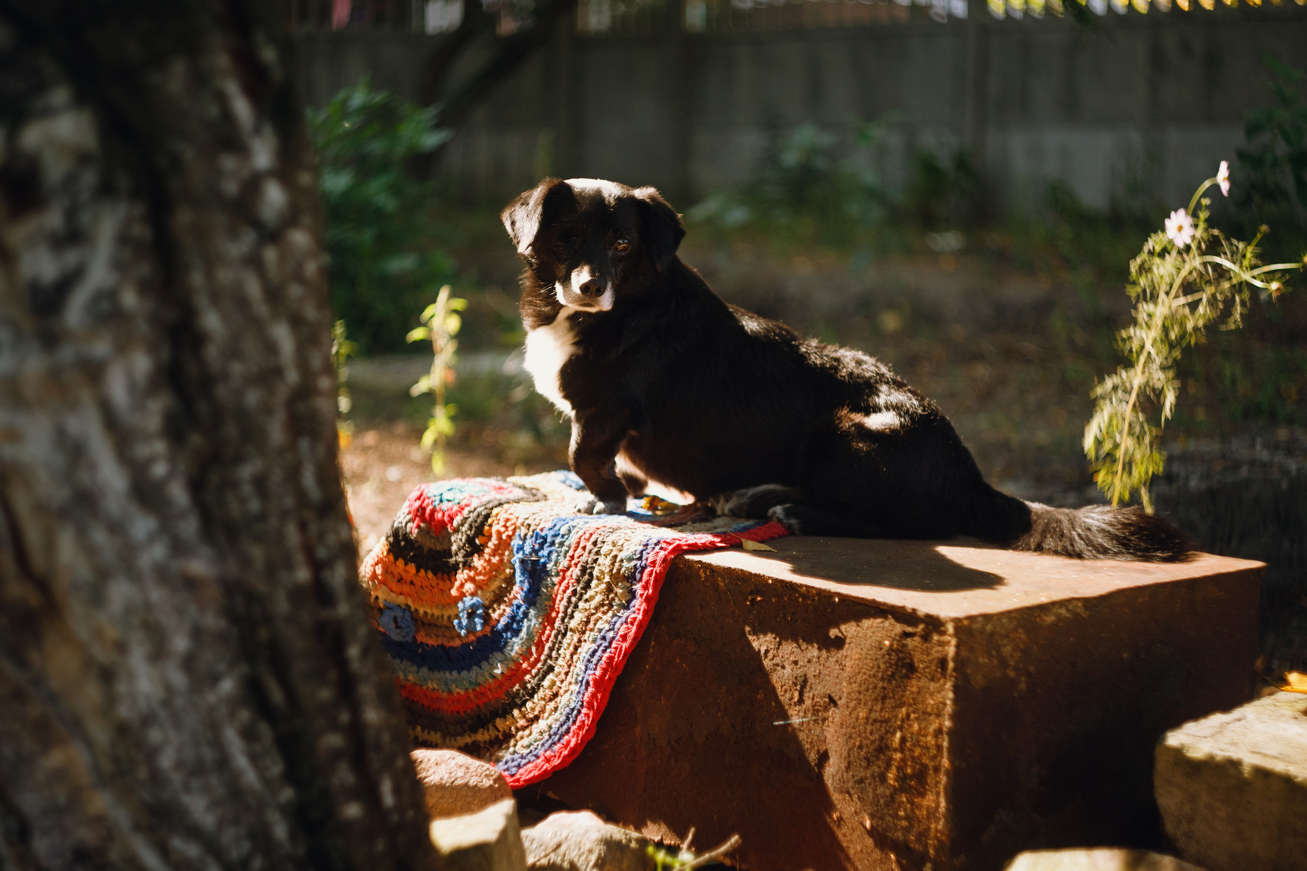 Grandmother's home in Brest. Kaja | fotograf we Wrocławiu | ludzie i psy