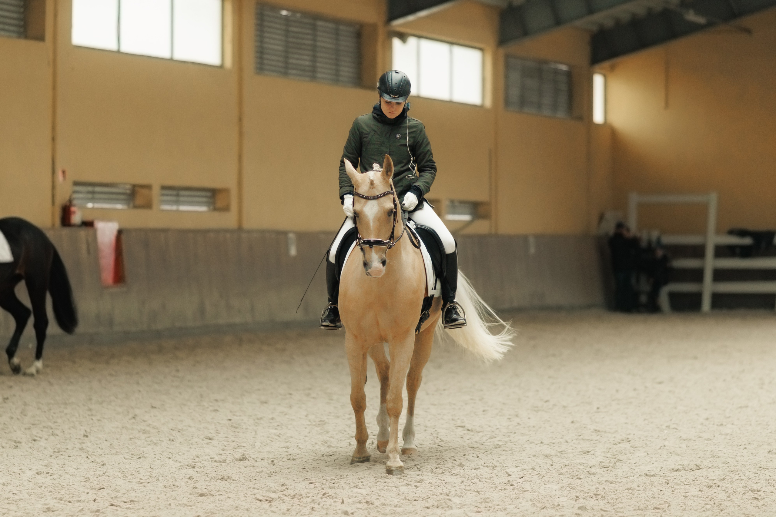 Partynice dressage \ feb'25. Kaja | fotograf we Wrocławiu | ludzie i psy