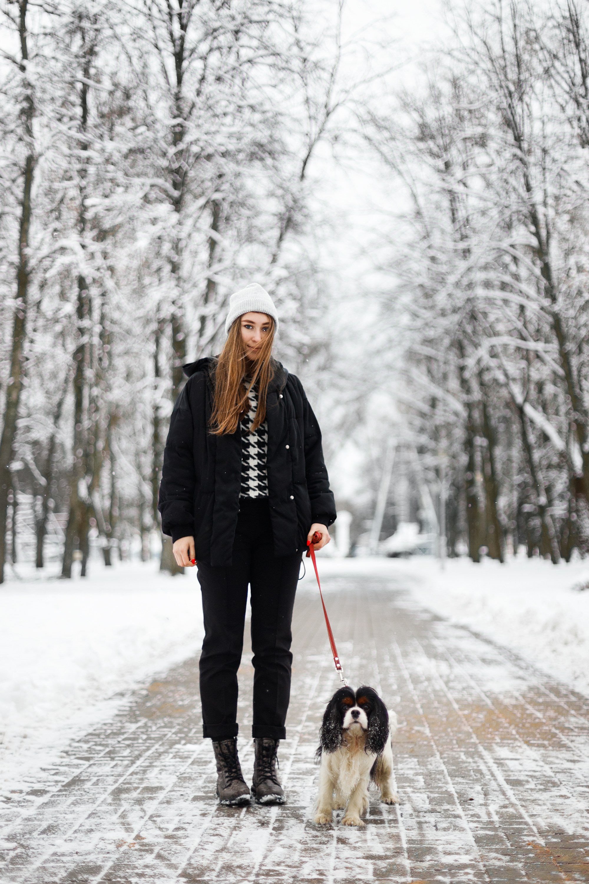 Uliana & winter spaniels. Kaja | fotograf psów we Wrocławiu