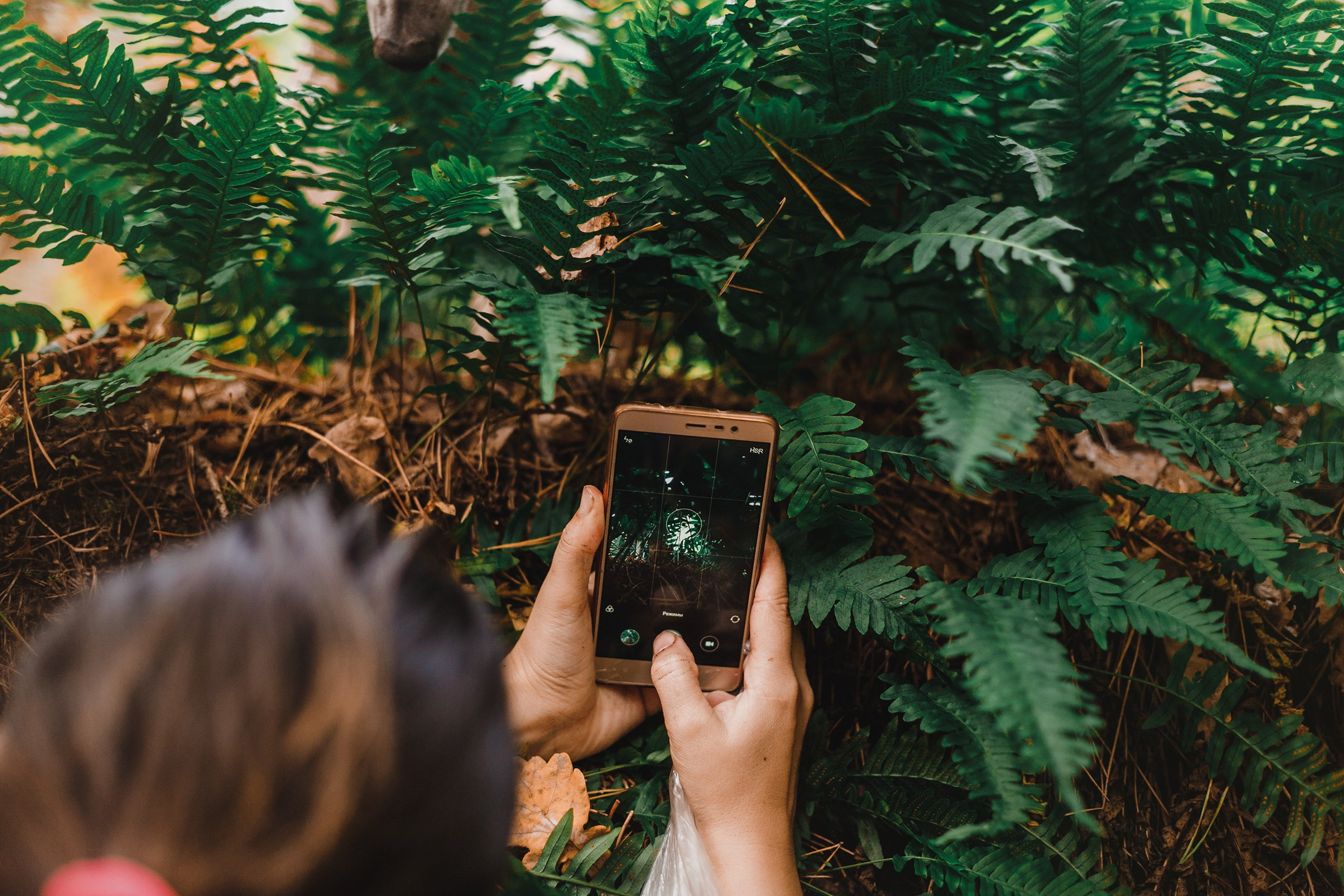 «Kasmach» dogs ammunition. Kaja | fotograf we Wrocławiu | ludzie i psy