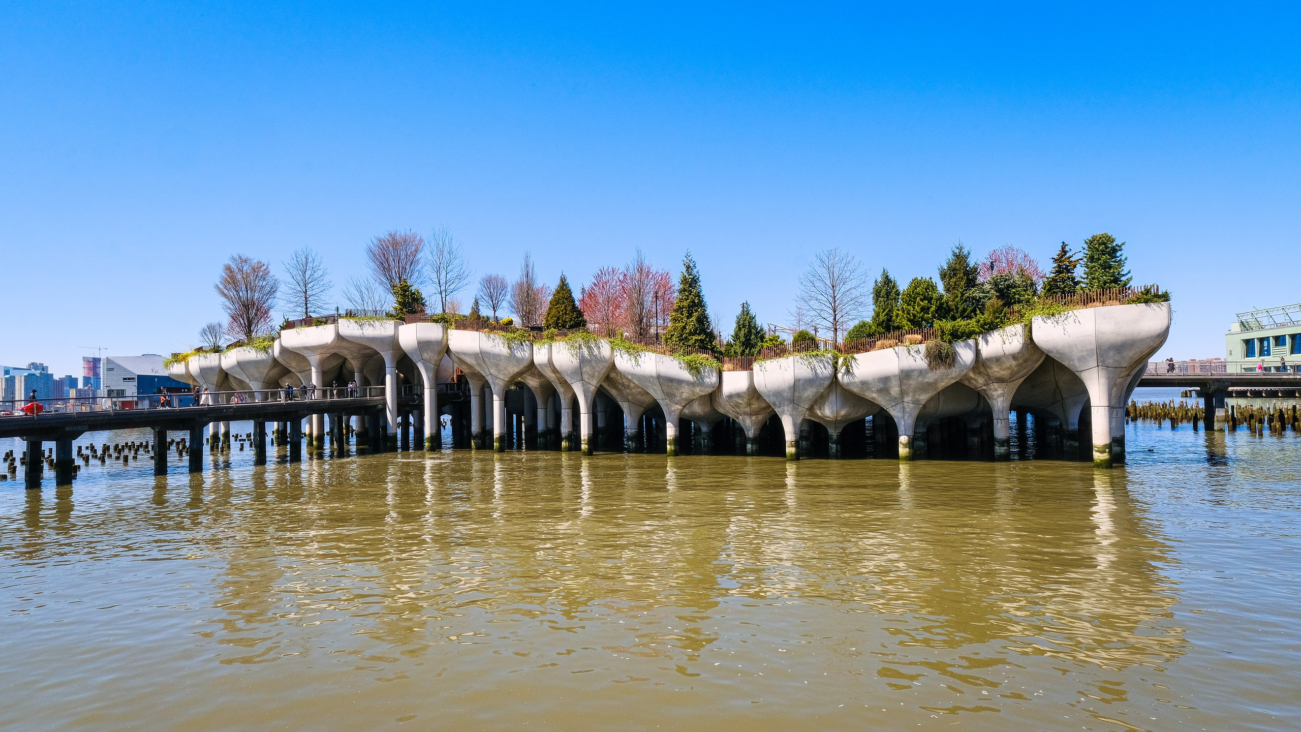 NEW YORK / 2025. Reportage concert portrait photography in the San Francisco Bay Area