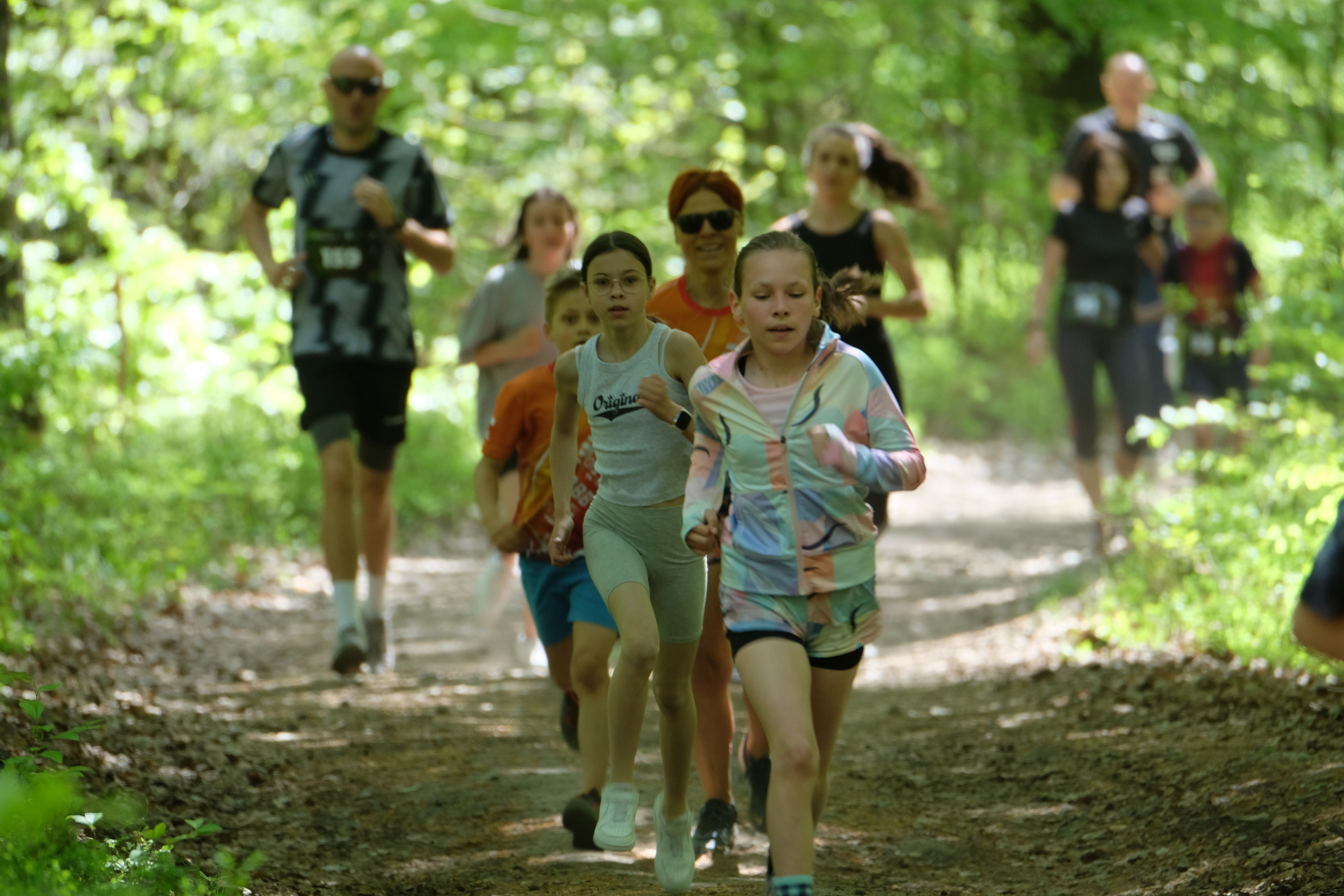 Aleksandryjska Piątka po lesie. Main