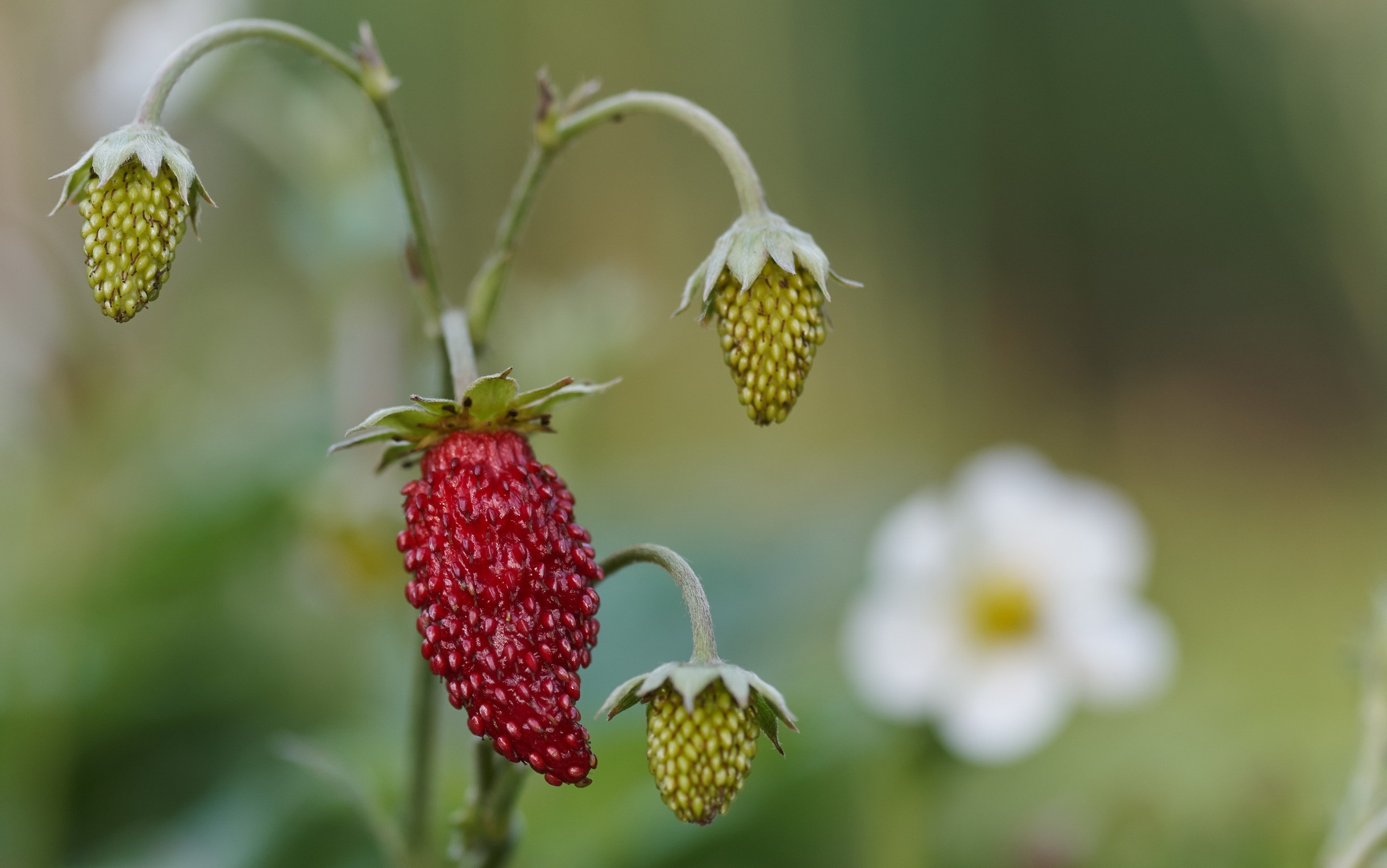 Close-Up. Yuri Popkov | Photographer