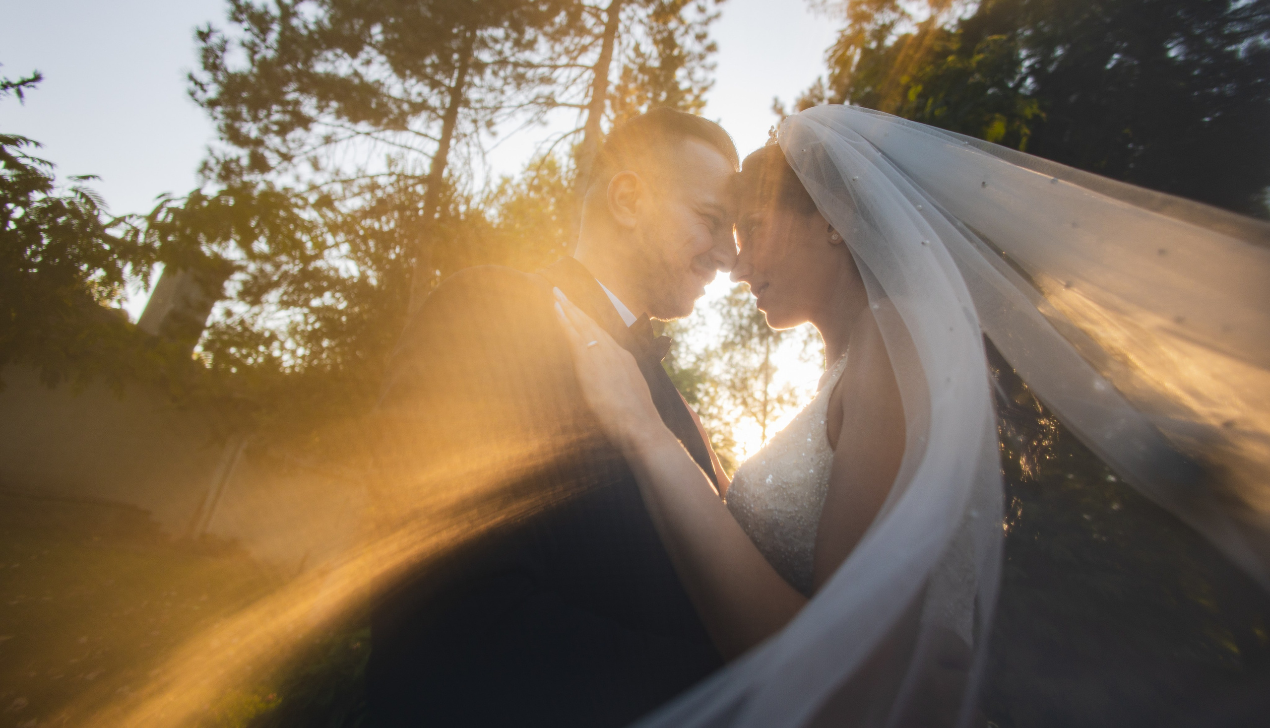 Portofoliu Fotograf Nunta Tulcea — Selectii | Codux. Codux — Fotograf Tulcea | Fotograf Evenimente