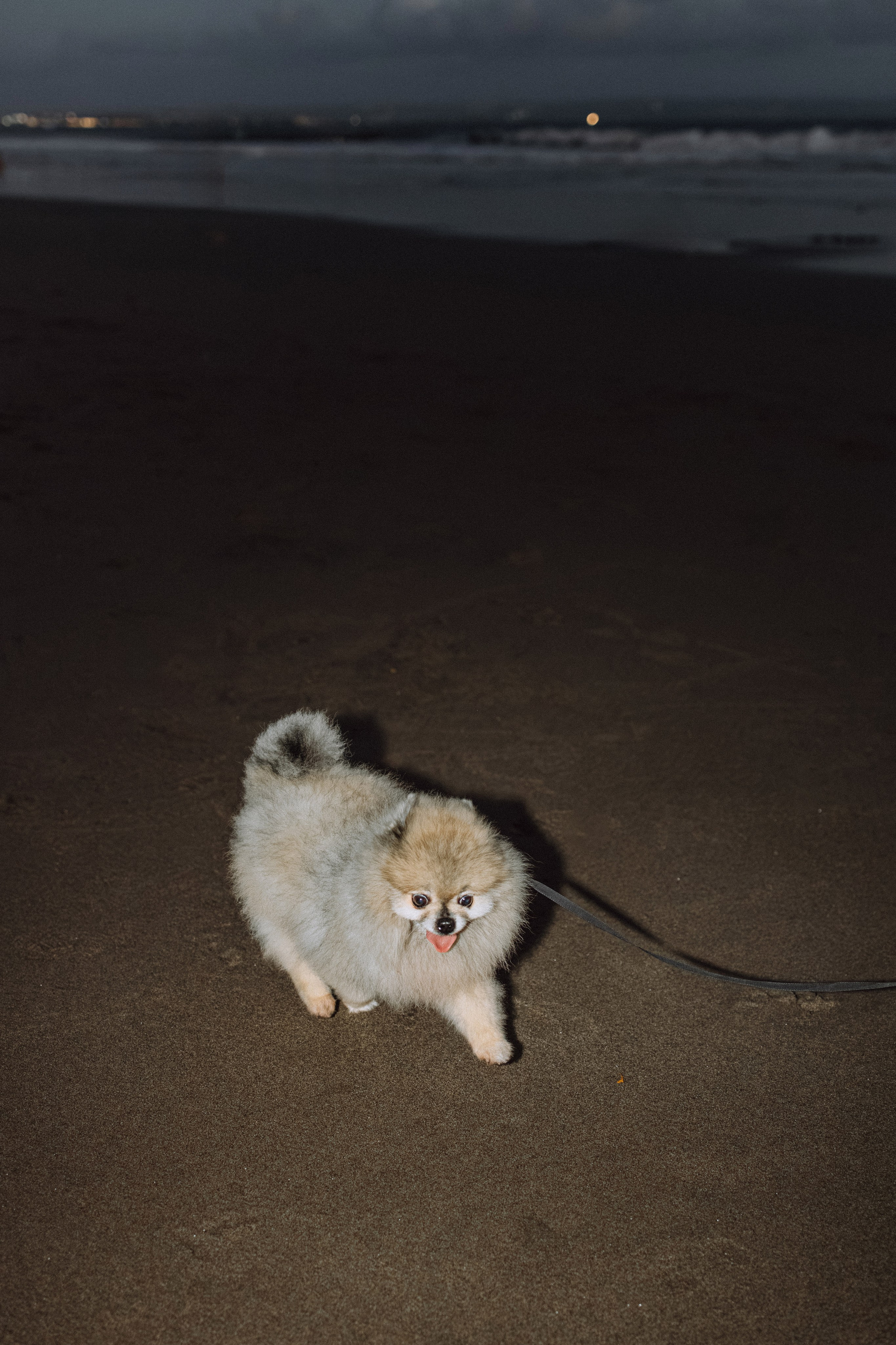 Nobara. Профессиональный фотограф Нурмиева Вероника