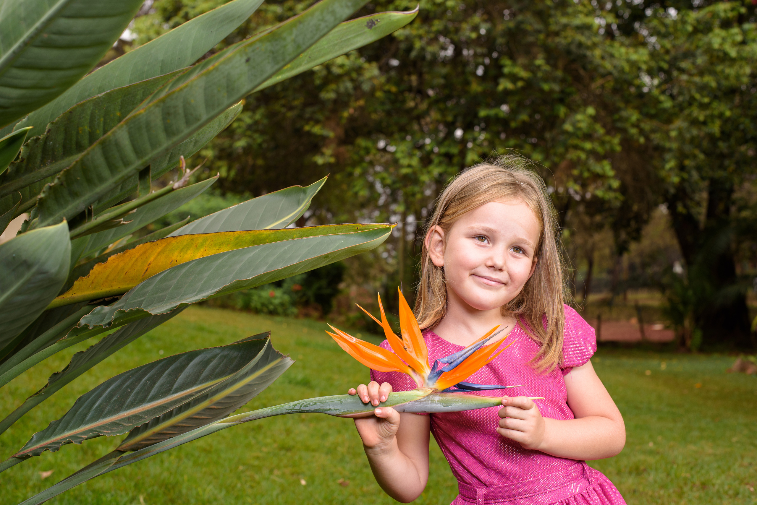 Photo shoot at Tatu city 5 years girl Nairobi Kenya. Newborn, Baby, Maternity and Family Photographer Nairobi Mombasa Kenya