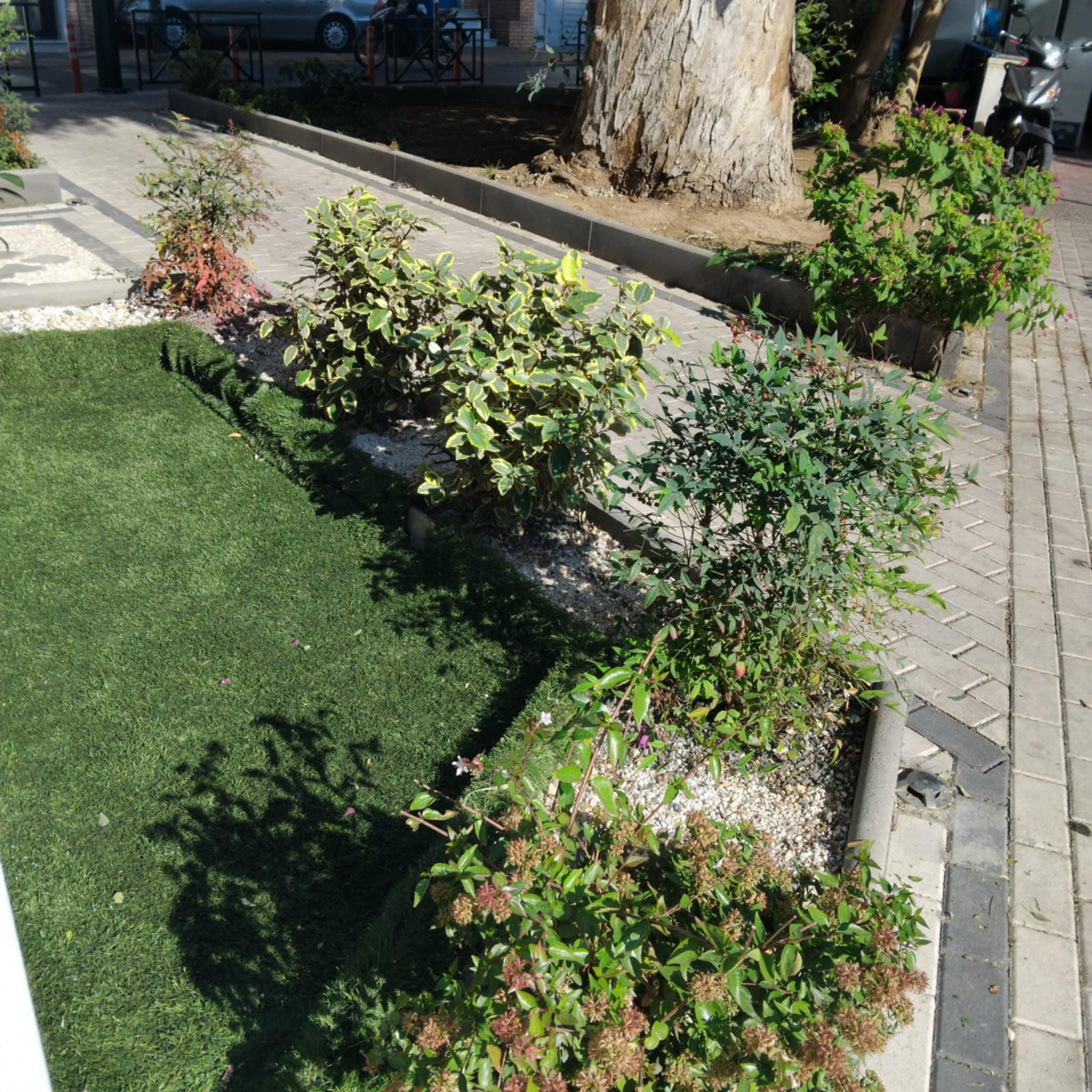 Κήπος Καμίνια. Geoponitikon-Όταν η Επιστήμη συναντά την Τέχνη στο Φυσικό Τοπίο!