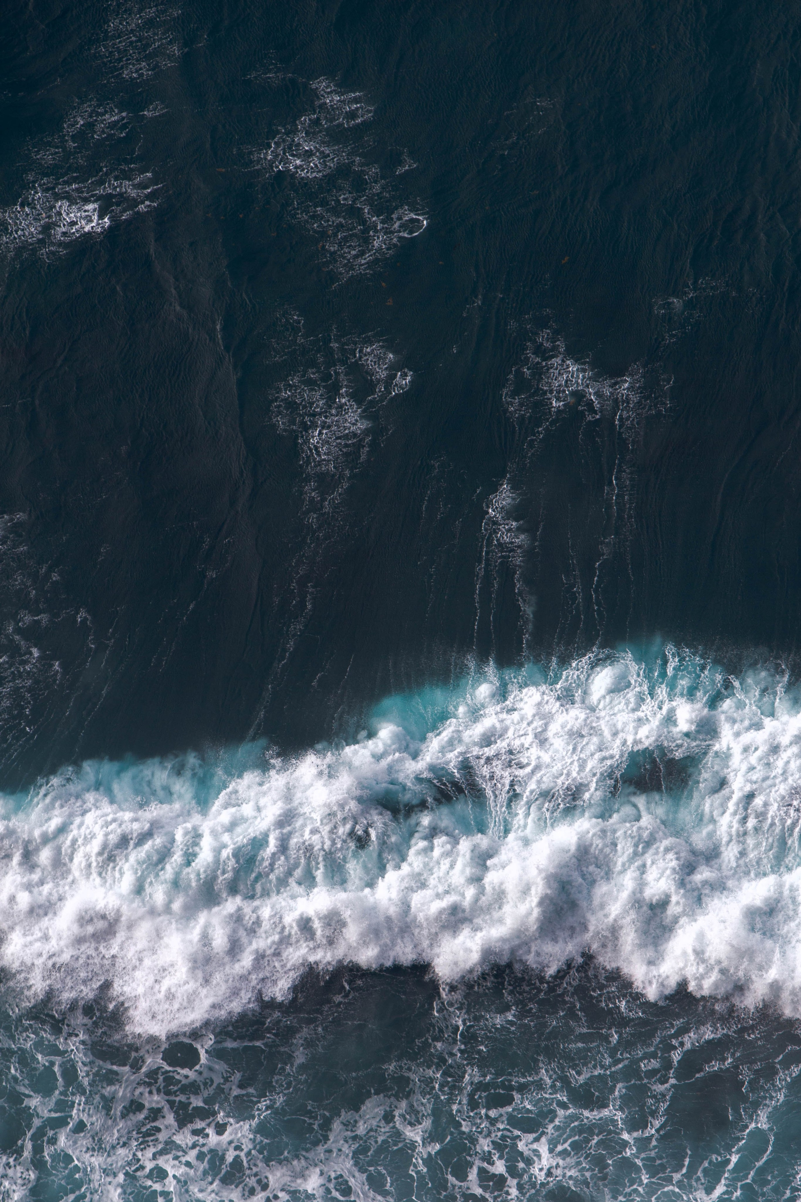 Madeira. Look Around You