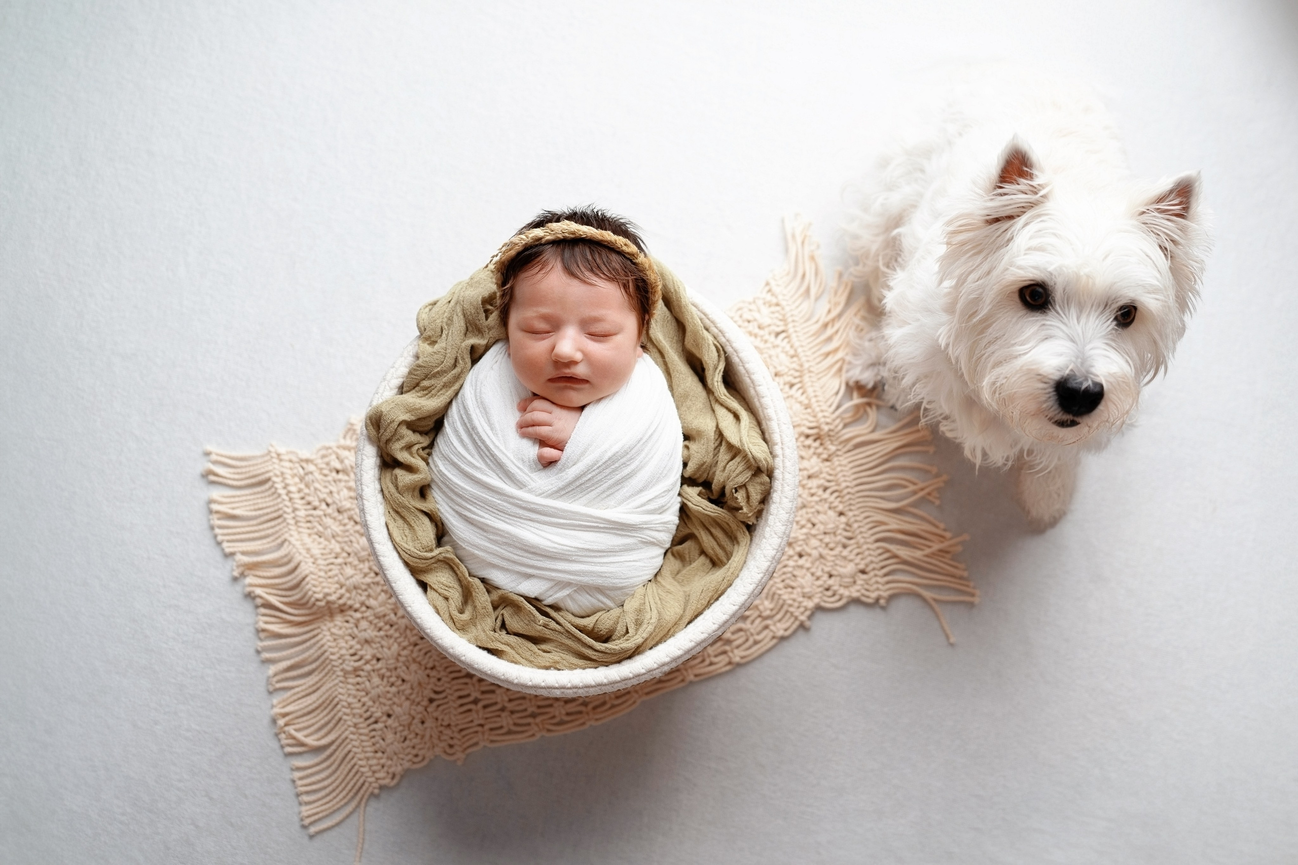 Оливия. Фотограф новорожденных и детей первого года Евгения Михалькевич